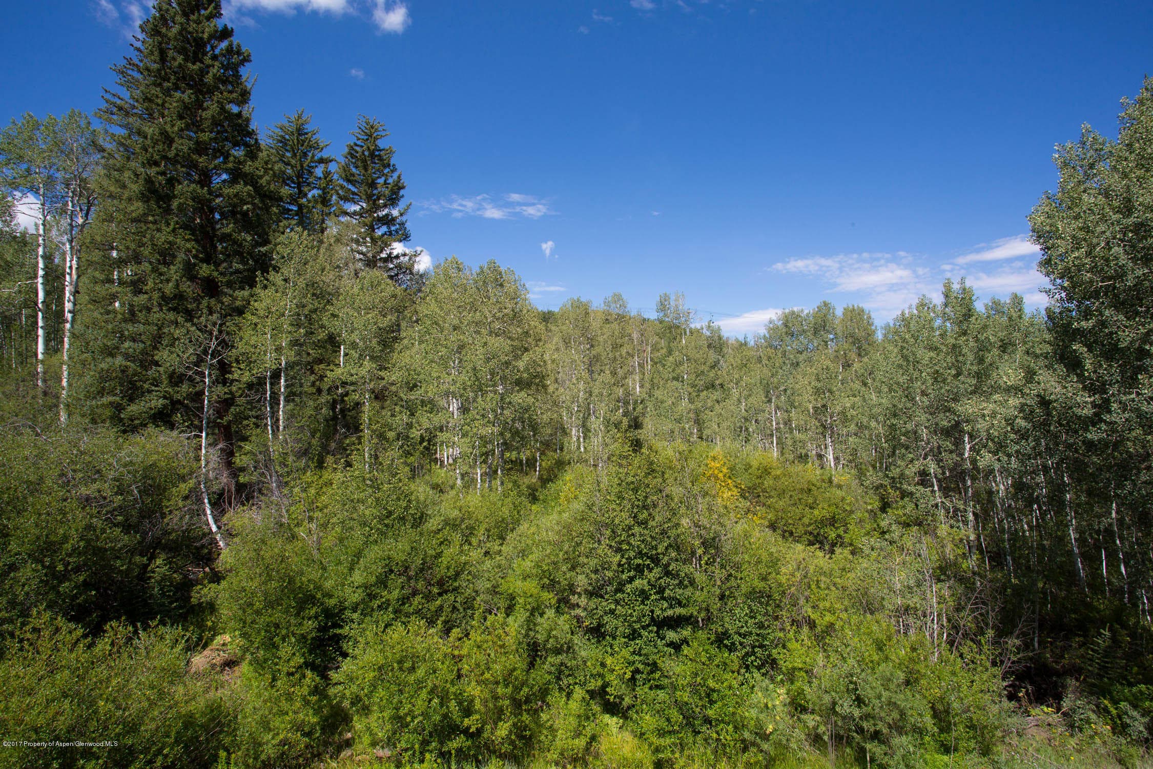 0381 Pine Crest Drive Pines Lot #47, Snowmass Village, CO 81615 - Photo 28