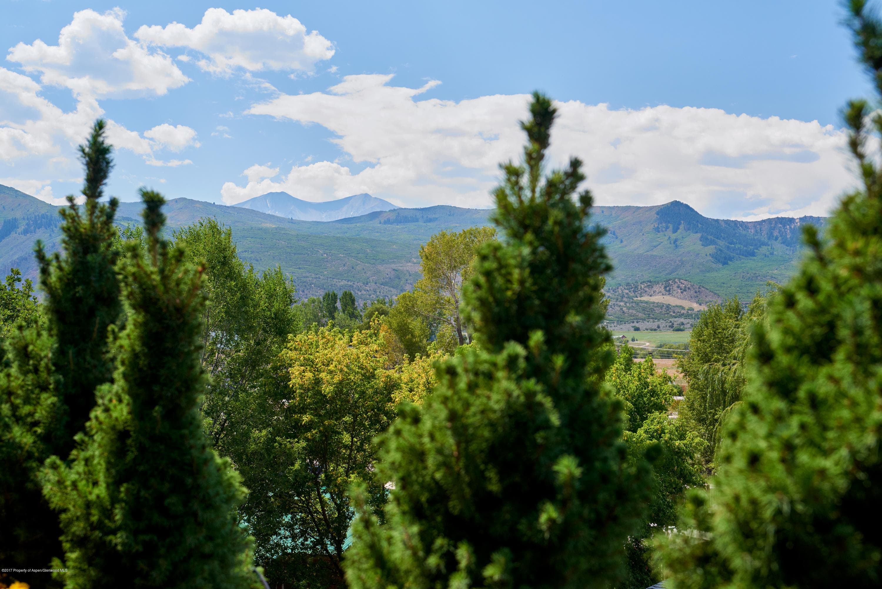 217 Overlook Ridge, Carbondale, CO 81623 - Photo 9