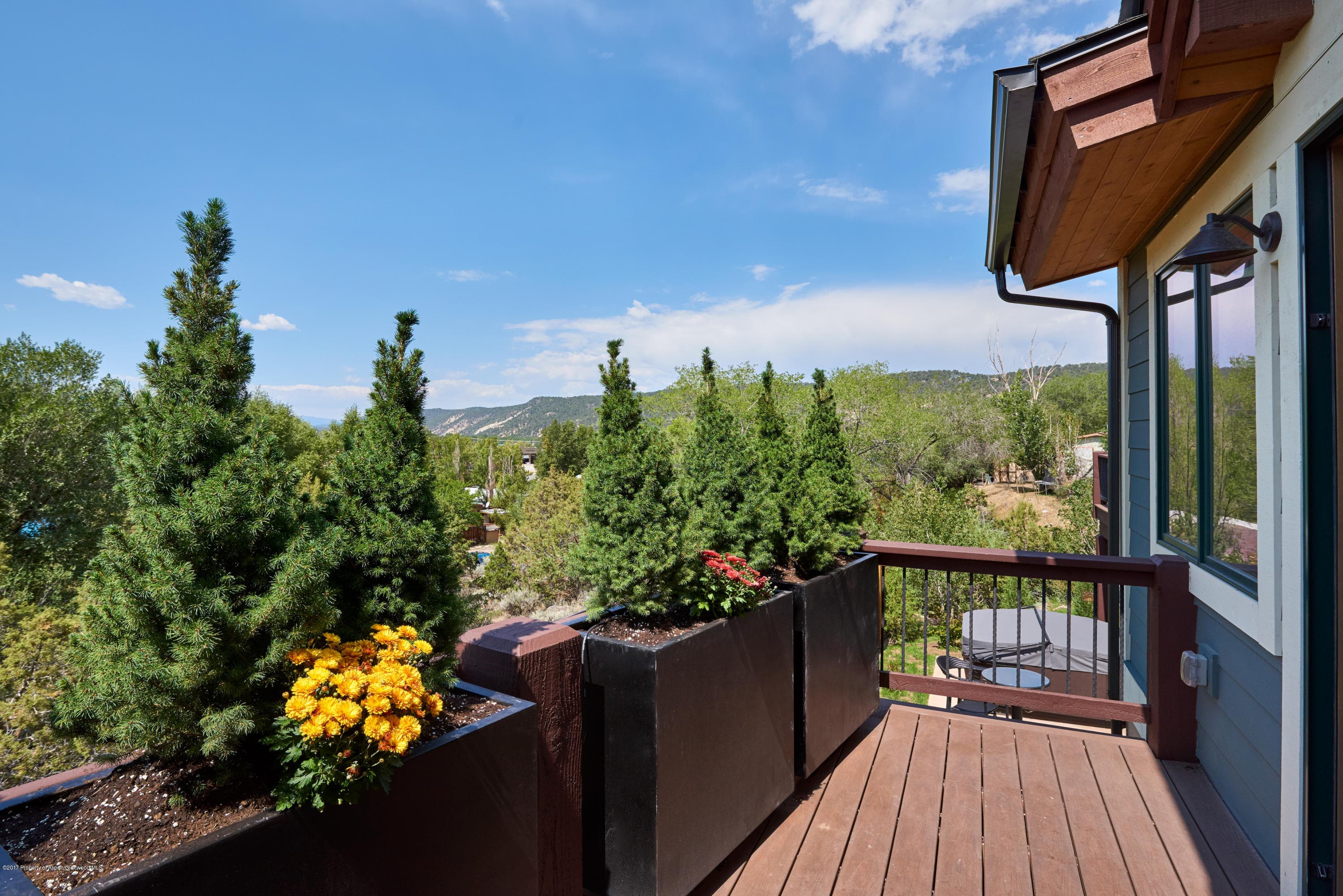 217 Overlook Ridge, Carbondale, CO 81623 - Photo 10