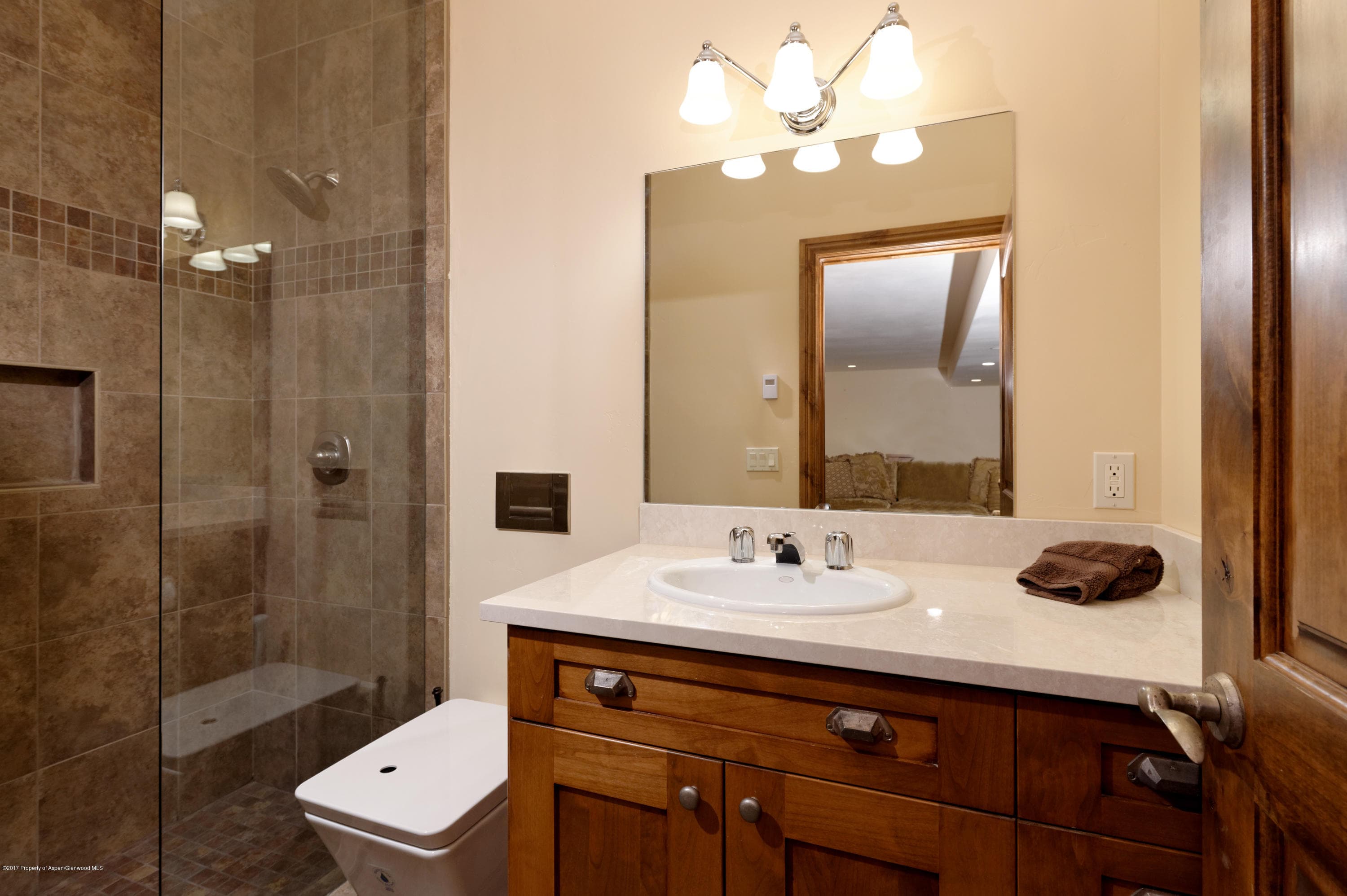 14 Saddlehorn Court, Carbondale, CO 81623 - Photo 15