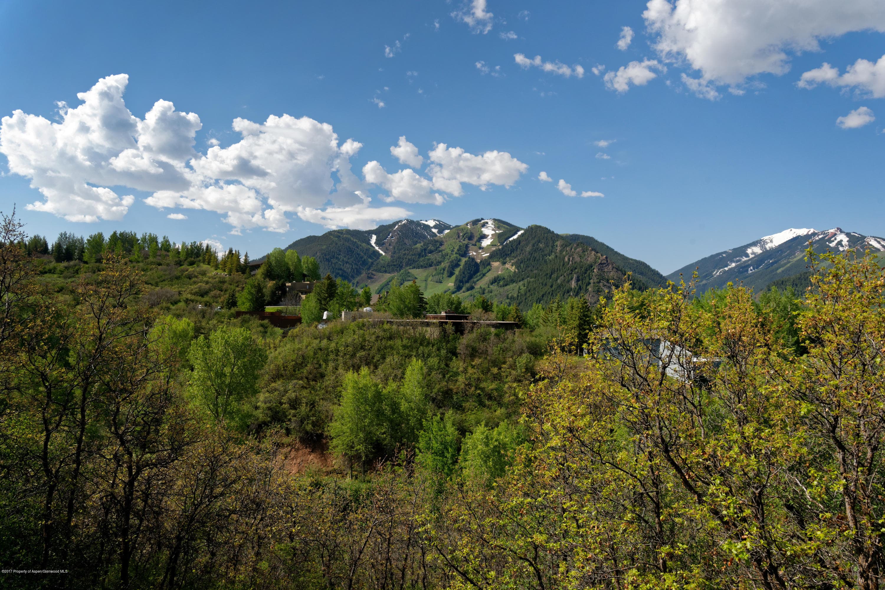 346 Draw Drive, Aspen, CO 81611 - Photo 39