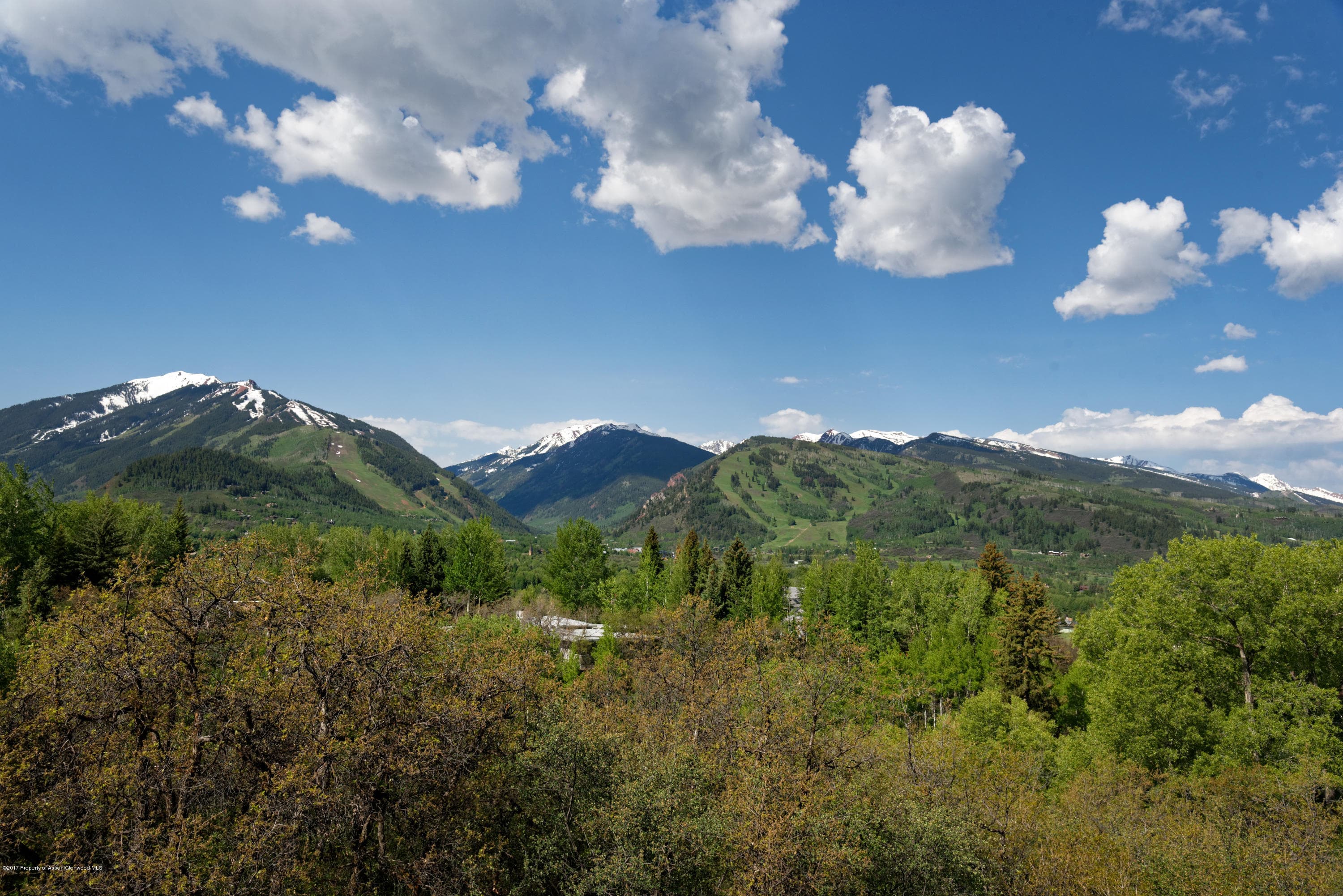 346 Draw Drive, Aspen, CO 81611 - Photo 40