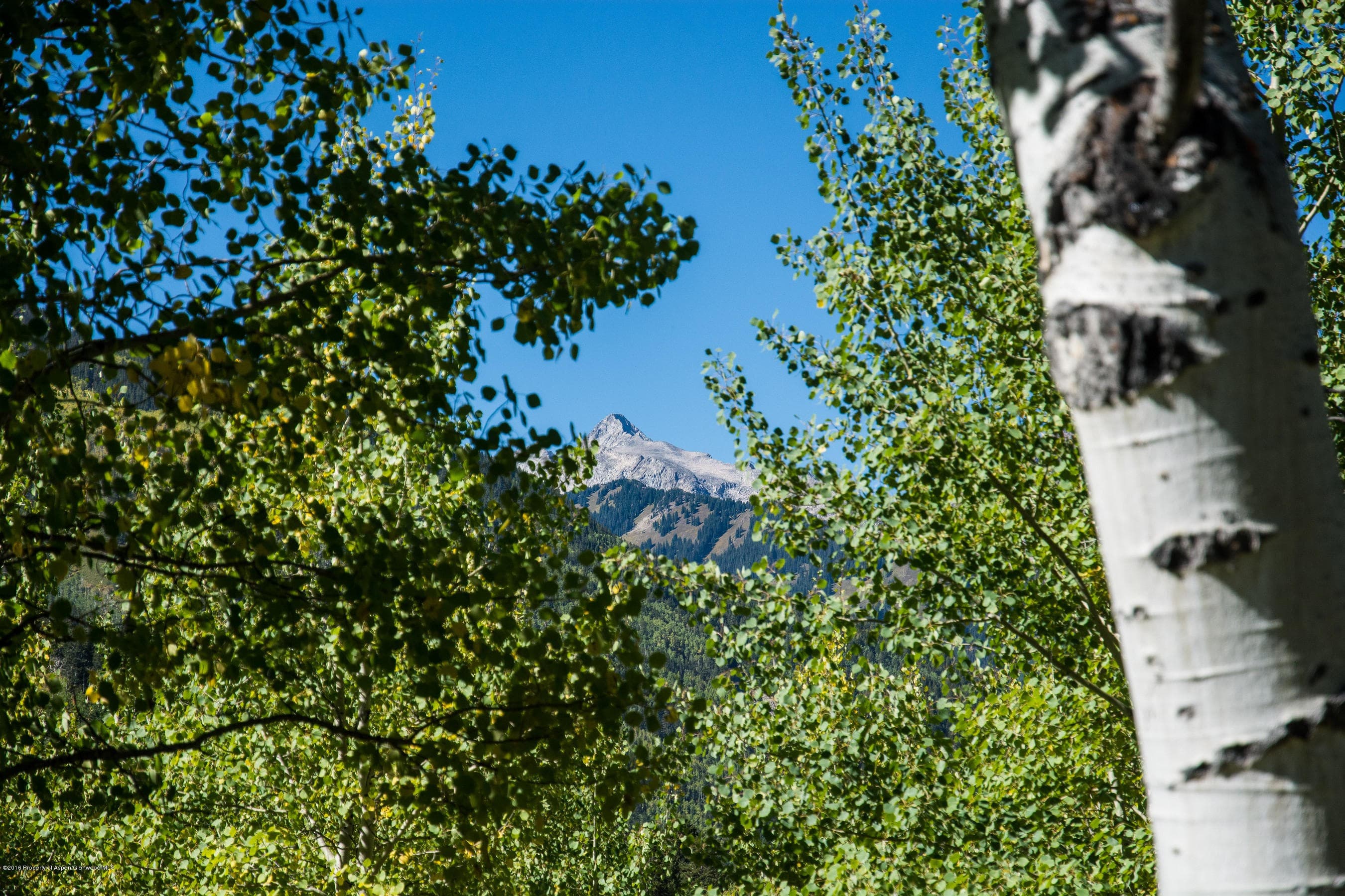 825 Divide Road, Snowmass Village, CO 81615 - Photo 2