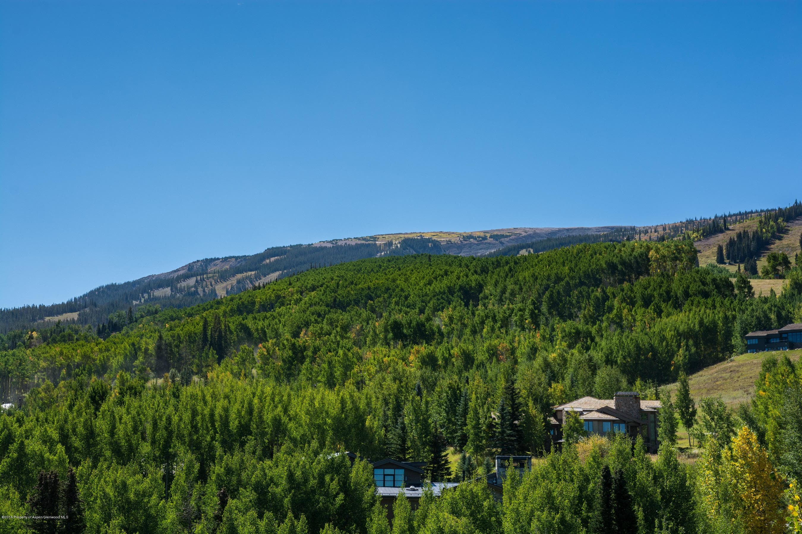 825 Divide Road, Snowmass Village, CO 81615 - Photo 6