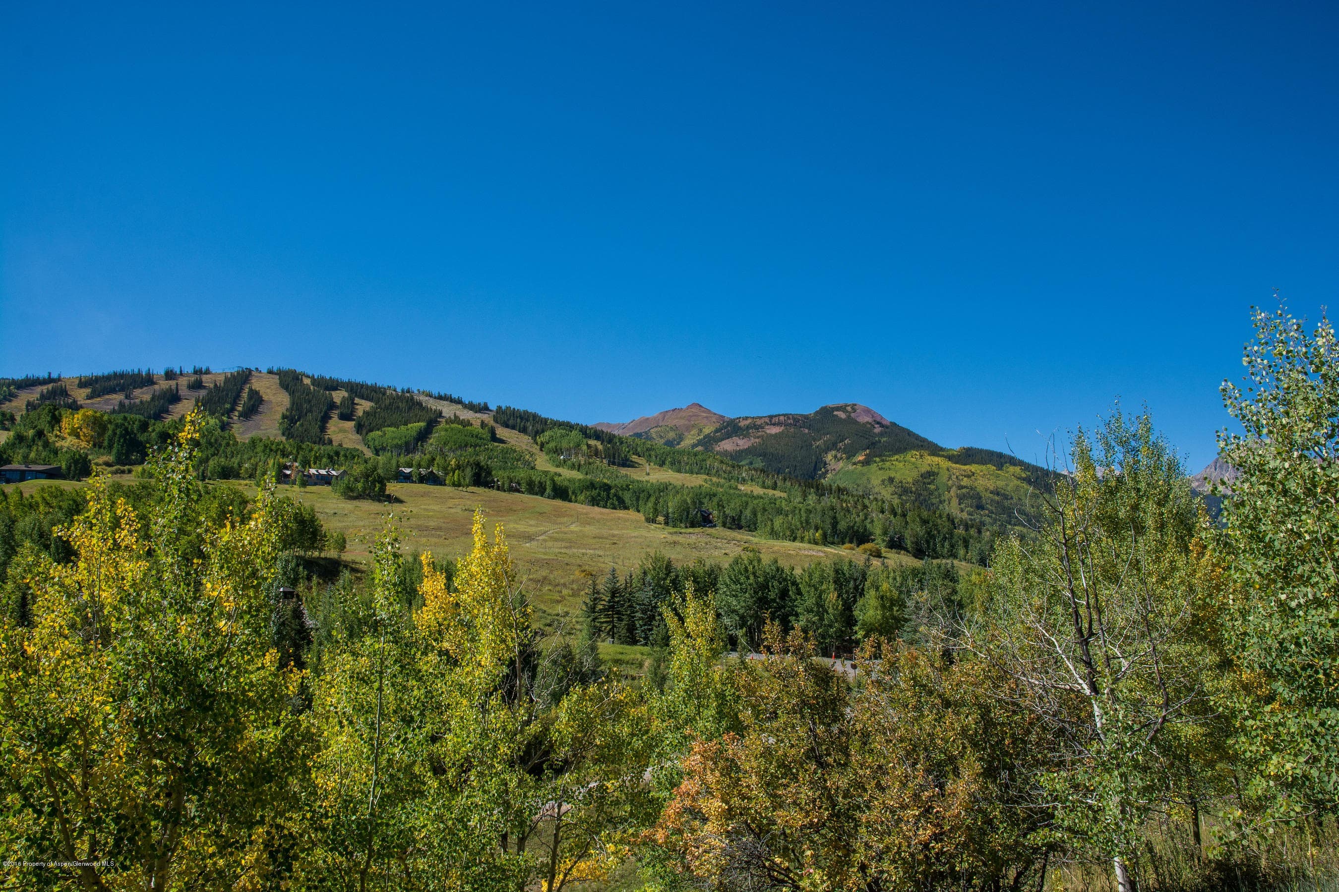 825 Divide Road, Snowmass Village, CO 81615 - Photo 7