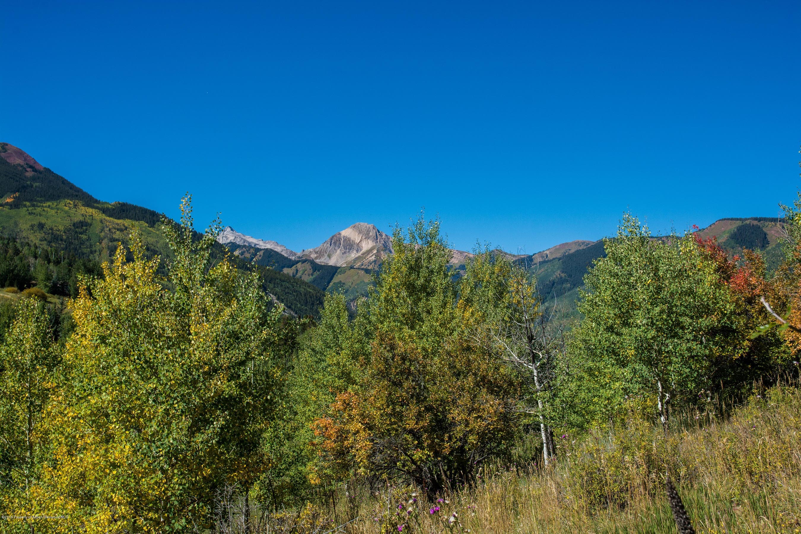 825 Divide Road, Snowmass Village, CO 81615 - Photo 8
