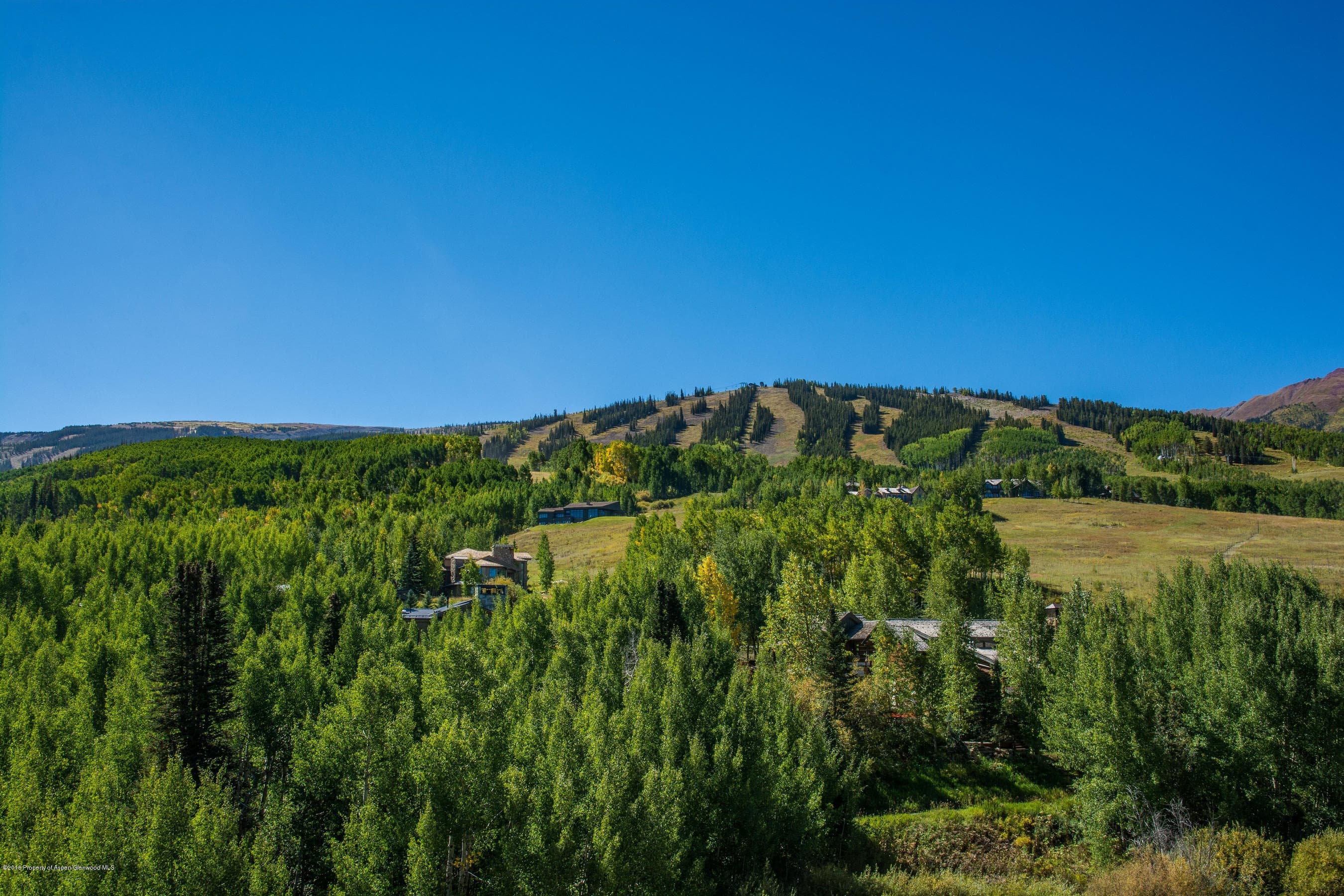 825 Divide Road, Snowmass Village, CO 81615 - Photo 10