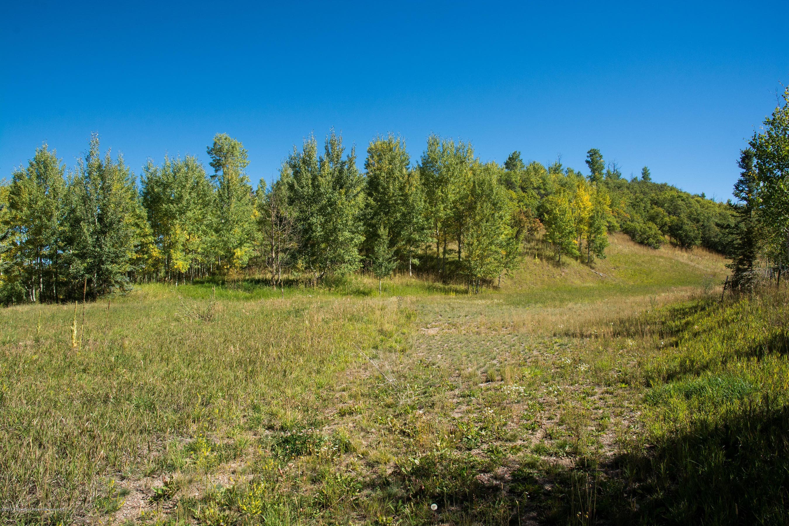 825 Divide Road, Snowmass Village, CO 81615 - Photo 12