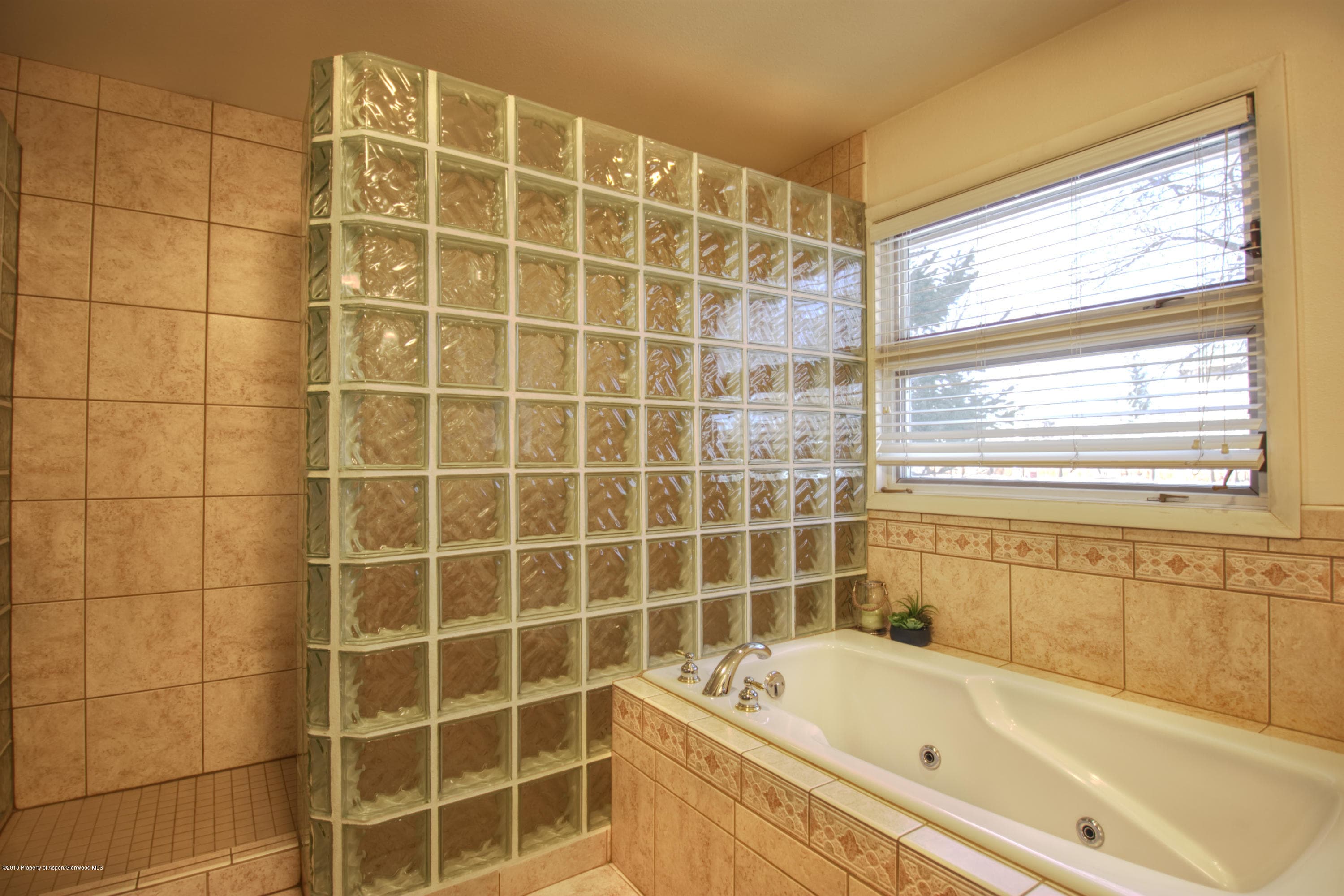 68 Marble Court, Carbondale, CO 81623 - Photo 17
