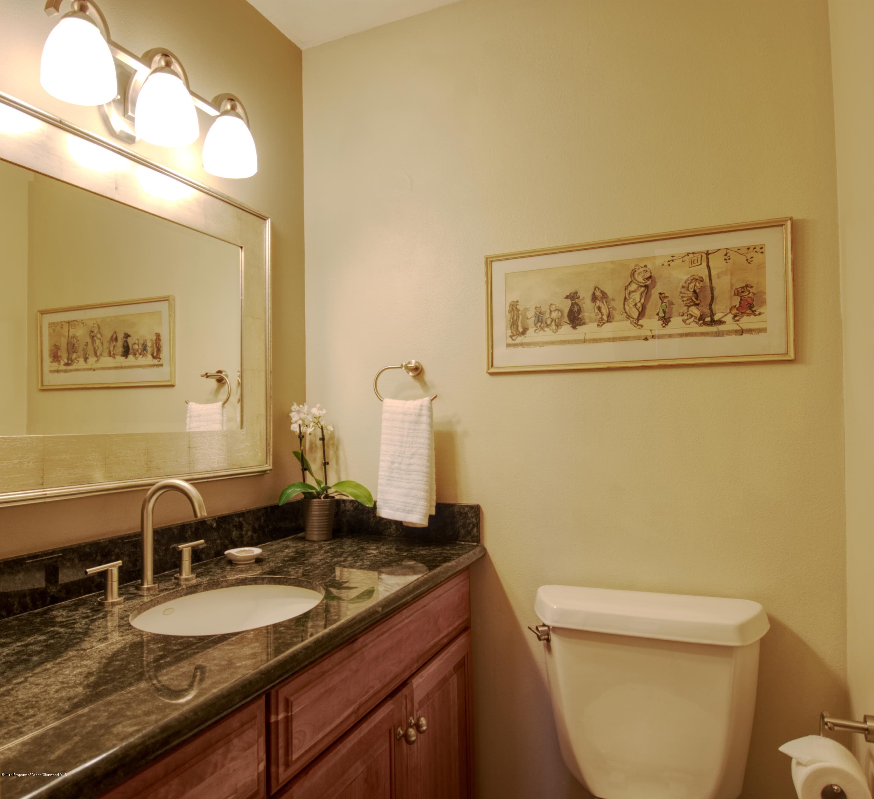68 Marble Court, Carbondale, CO 81623 - Photo 18