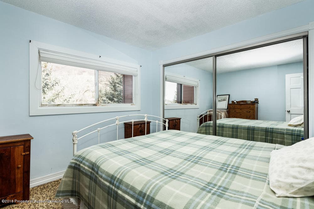1041 Vine Street Unit 1041, Aspen, CO 81611 - Photo 8