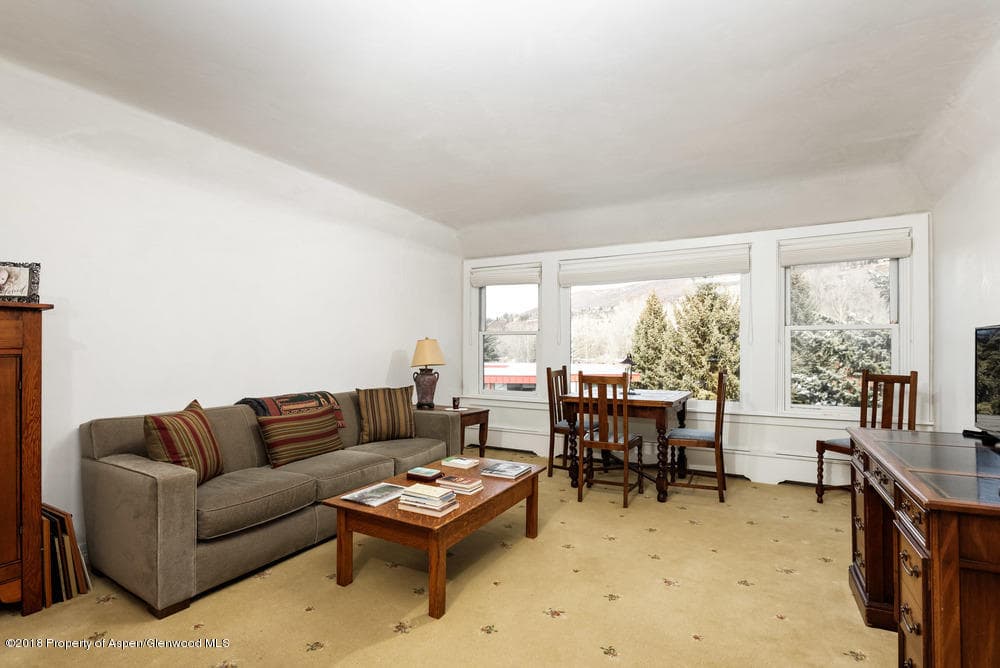 1041 Vine Street Unit 1041, Aspen, CO 81611 - Photo 6