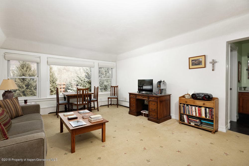 1041 Vine Street Unit 1041, Aspen, CO 81611 - Photo 5