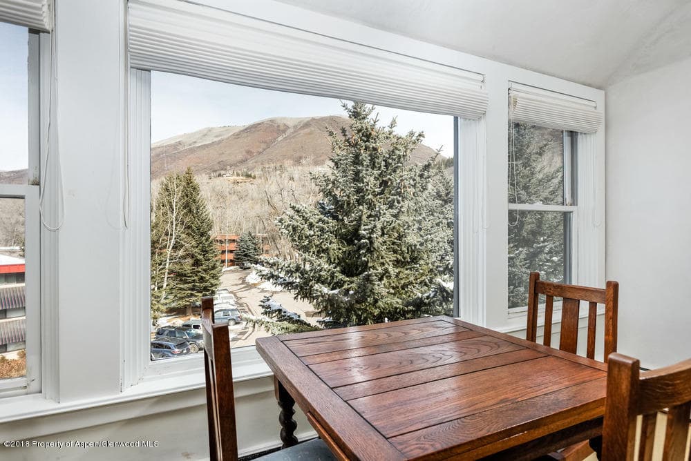 1041 Vine Street Unit 1041, Aspen, CO 81611 - Photo 3