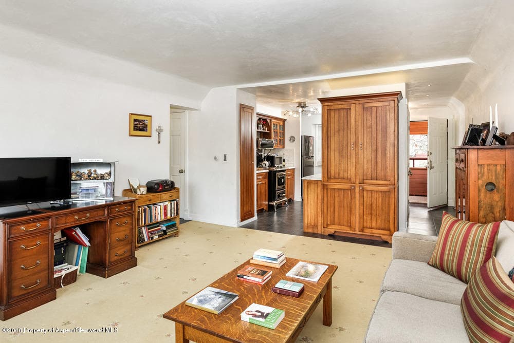 1041 Vine Street Unit 1041, Aspen, CO 81611 - Photo 2