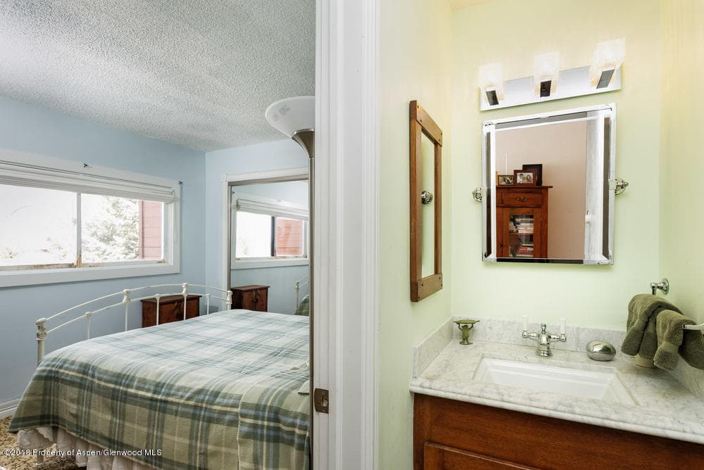 1041 Vine Street Unit 1041, Aspen, CO 81611 - Photo 9