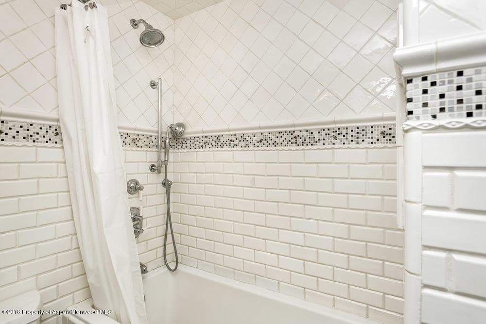 1041 Vine Street Unit 1041, Aspen, CO 81611 - Photo 10