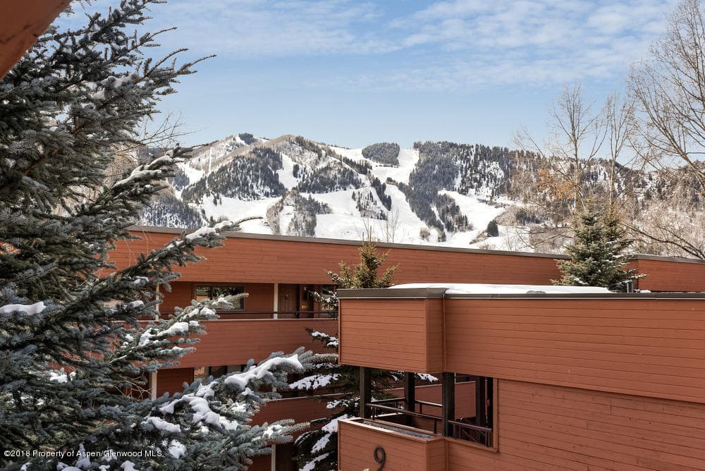 1041 Vine Street Unit 1041, Aspen, CO 81611 - Photo 11