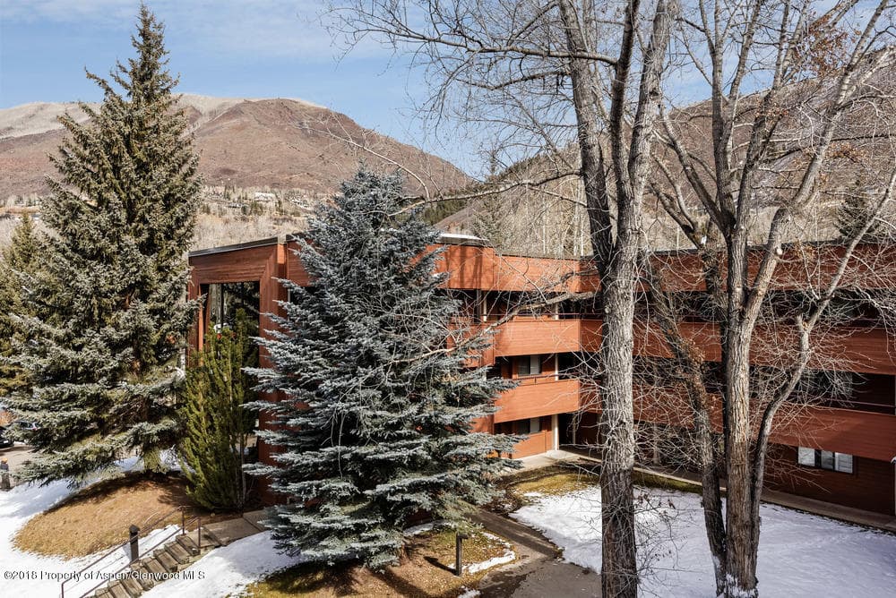 1041 Vine Street Unit 1041, Aspen, CO 81611 - Photo 12