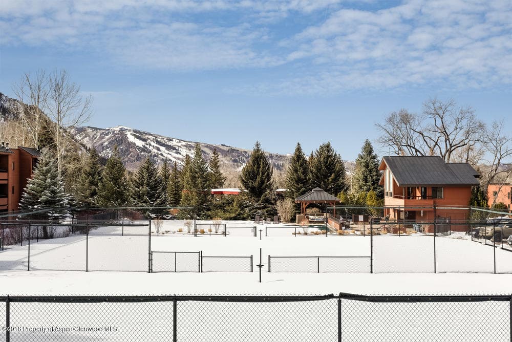 1041 Vine Street Unit 1041, Aspen, CO 81611 - Photo 13