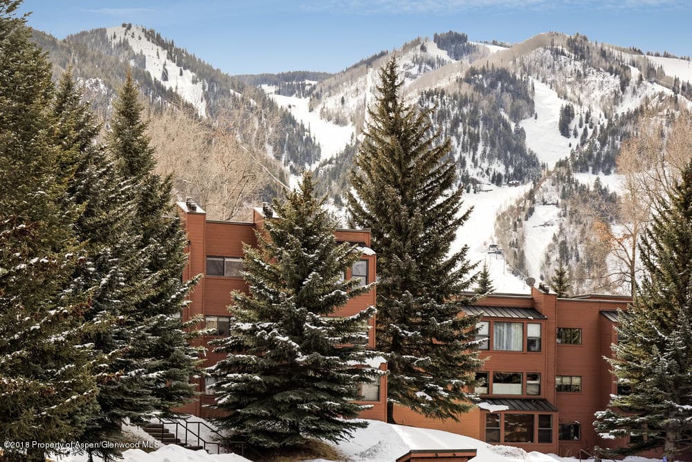 1041 Vine Street Unit 1041, Aspen, CO 81611 - Photo 1