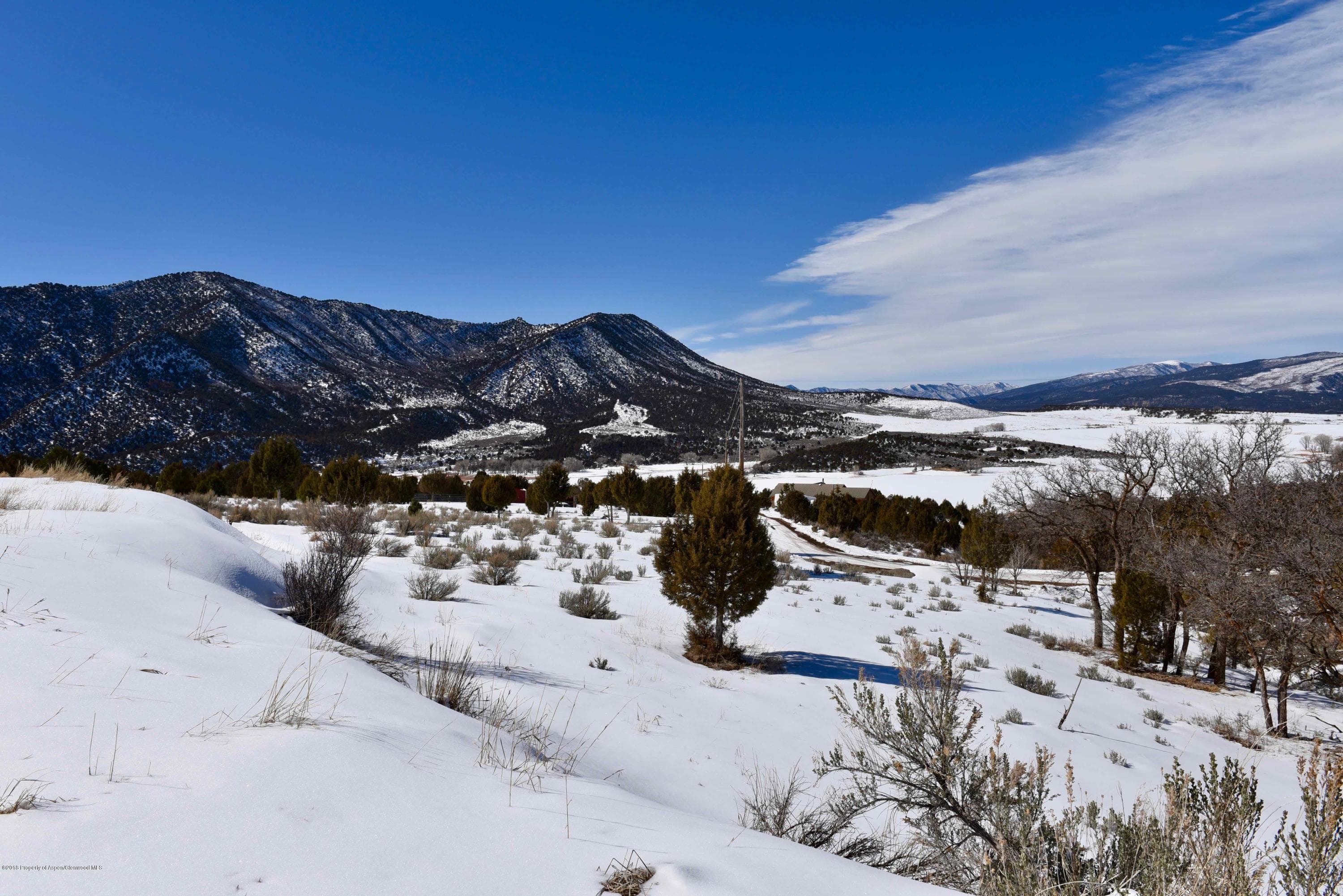 3744 Co Rd 237, Rifle, CO 81650 - Photo 4