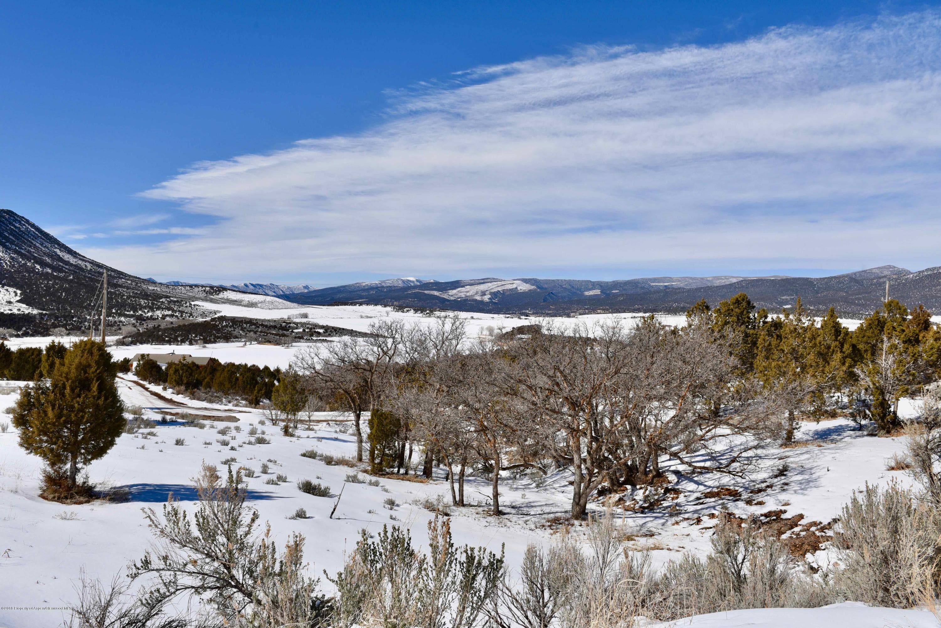 3744 Co Rd 237, Rifle, CO 81650 - Photo 5