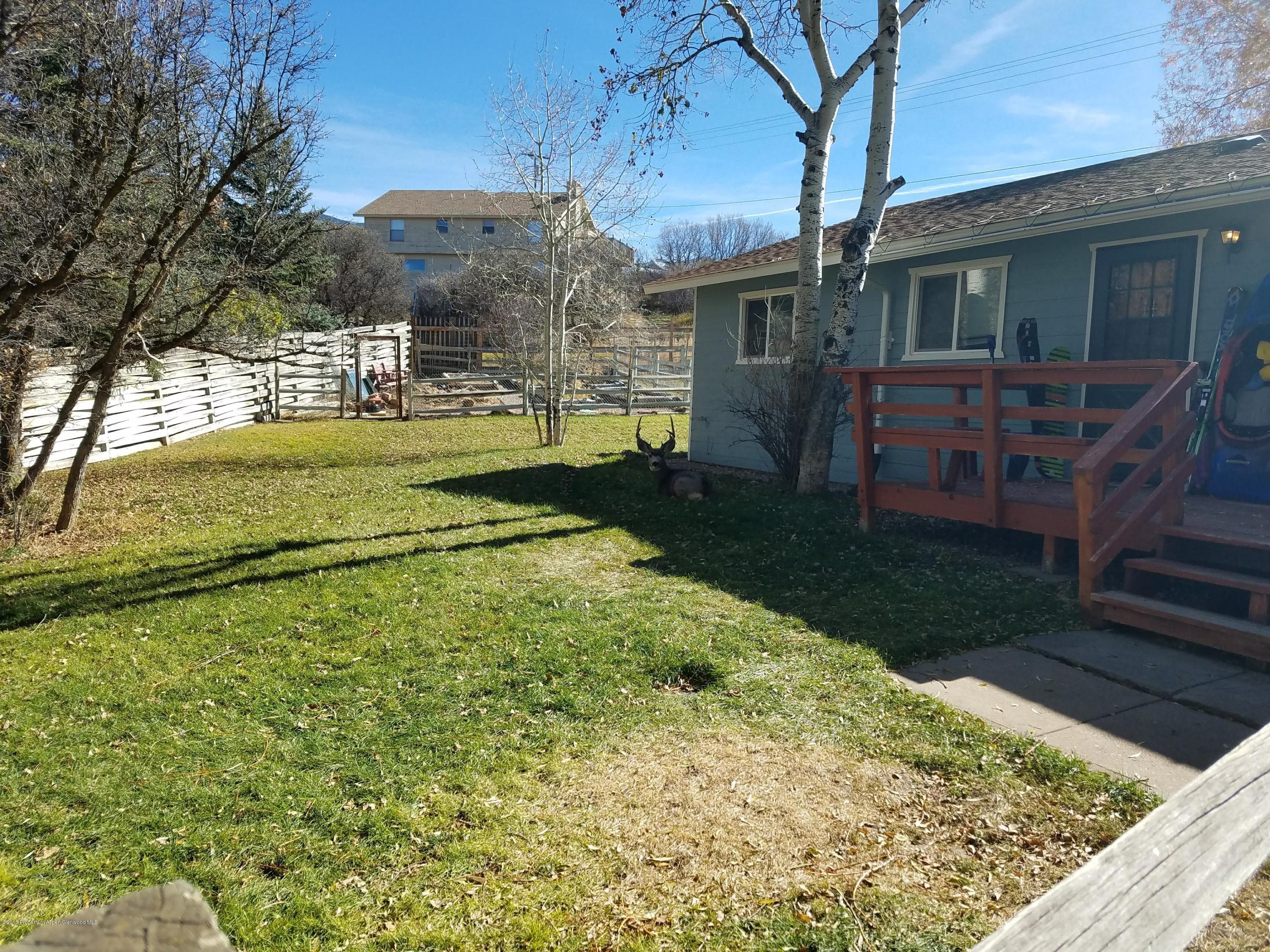 95 Fender Lane, Carbondale, CO 81623 - Photo 31