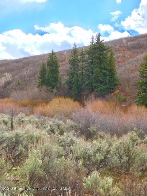 TBD Basalt Mountain Rd., Carbondale, CO 81623 - Photo 26