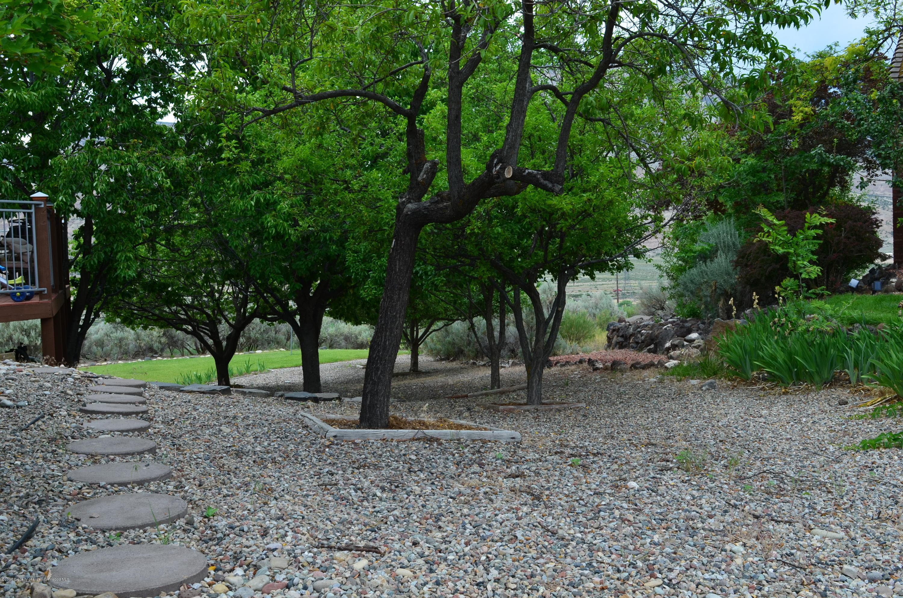 217 Boulder Ridge Drive, Parachute, CO 81635 - Photo 37