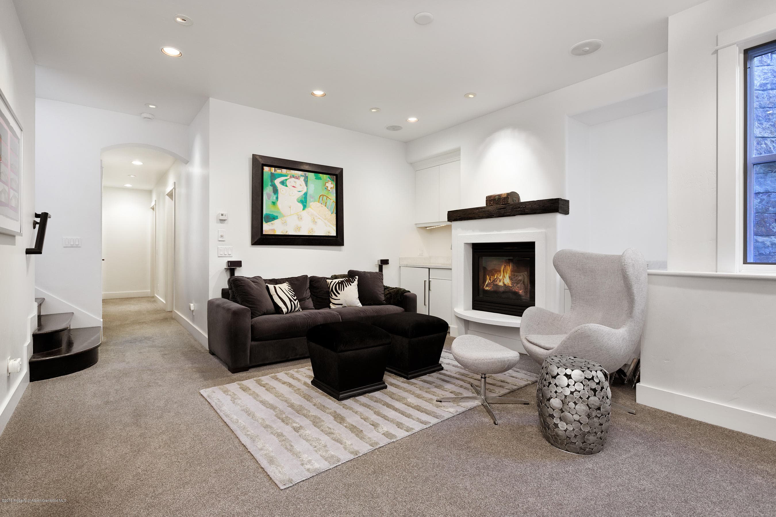 533 W Francis Street, Aspen, CO 81611 - Photo 20