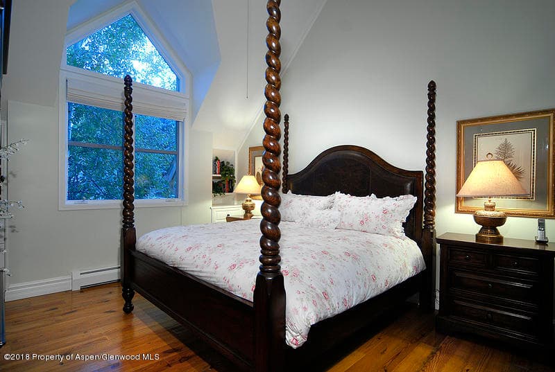 717 W Francis Street, Aspen, CO 81611 - Photo 7