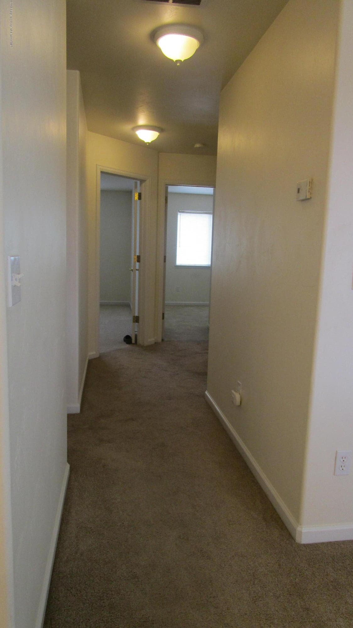 694 Bristlecone Way, Silt, CO 81652 - Photo 6