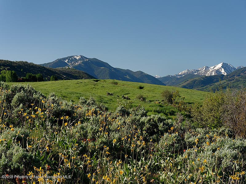 TBD Woody Creek Rd Road, Aspen, CO 81611 - Photo 12