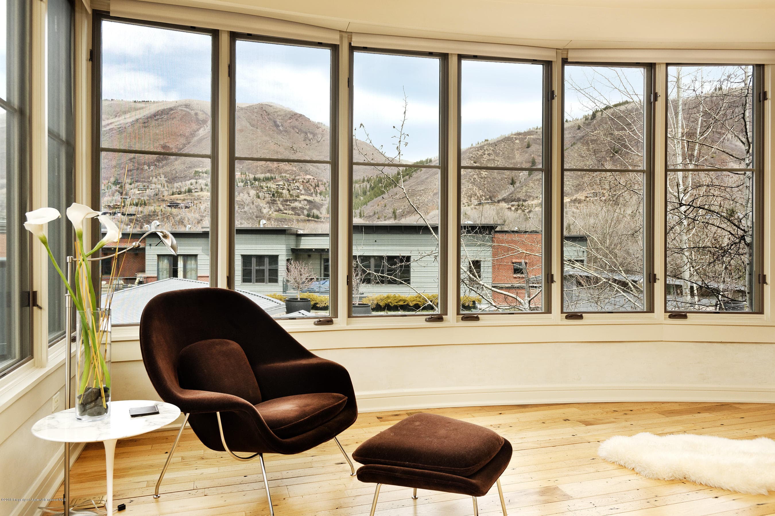 102 Founders Place 301, Aspen, CO 81611 - Photo 3