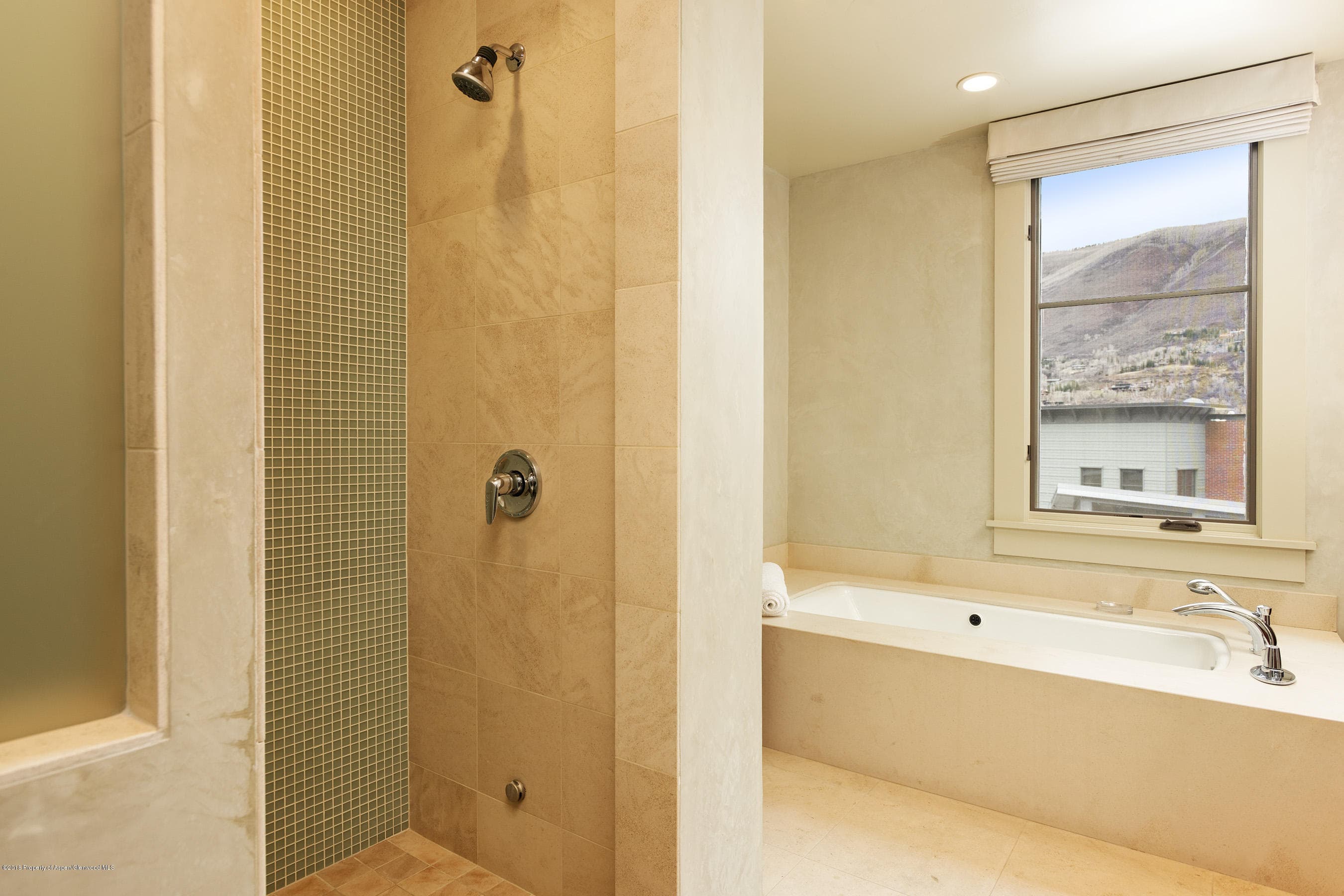 102 Founders Place 301, Aspen, CO 81611 - Photo 13