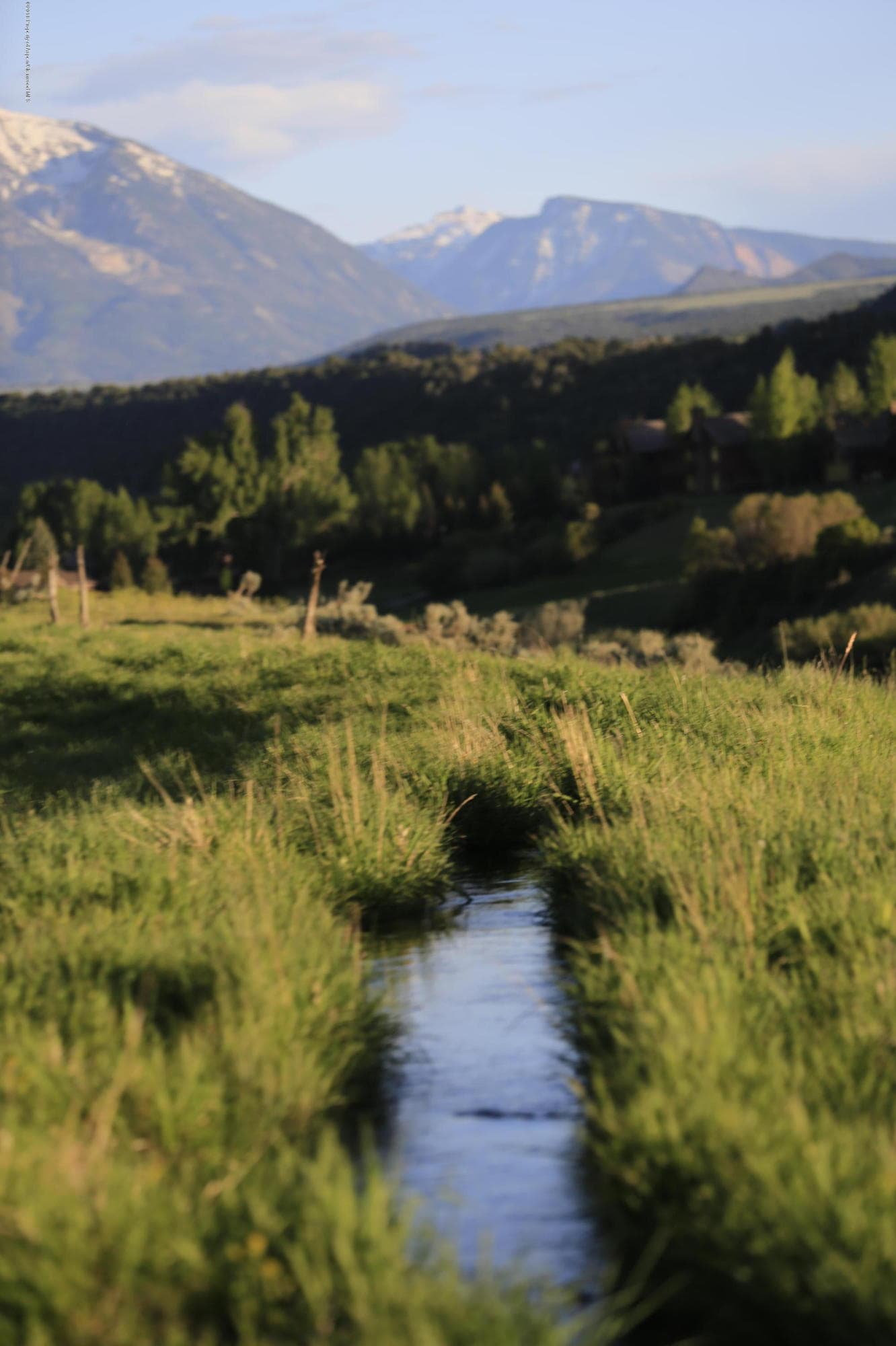 TBD Highway 82, Carbondale, CO 81623 - Photo 5