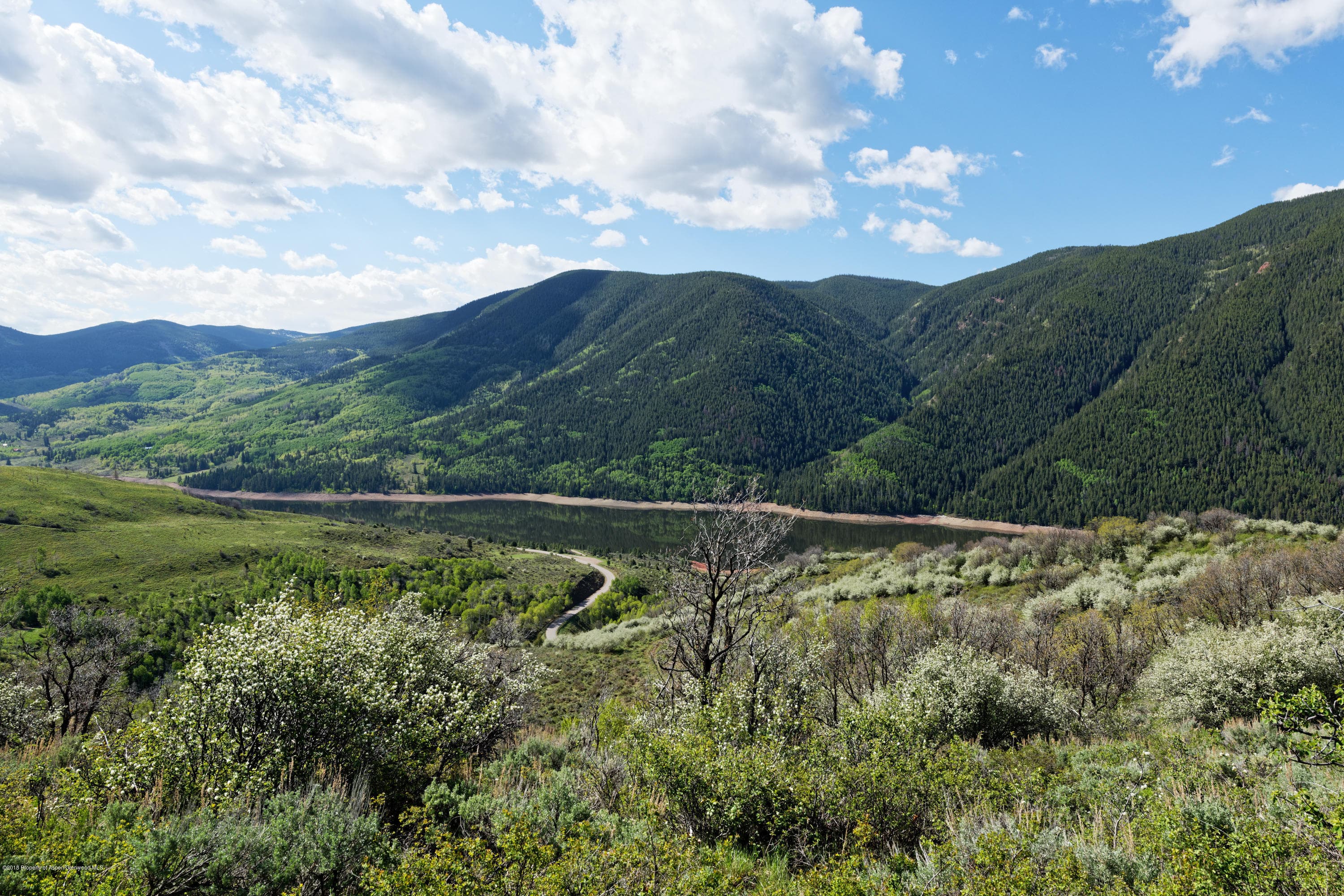 TBD Frying Pan Road, Basalt, CO 81621 - Photo 12