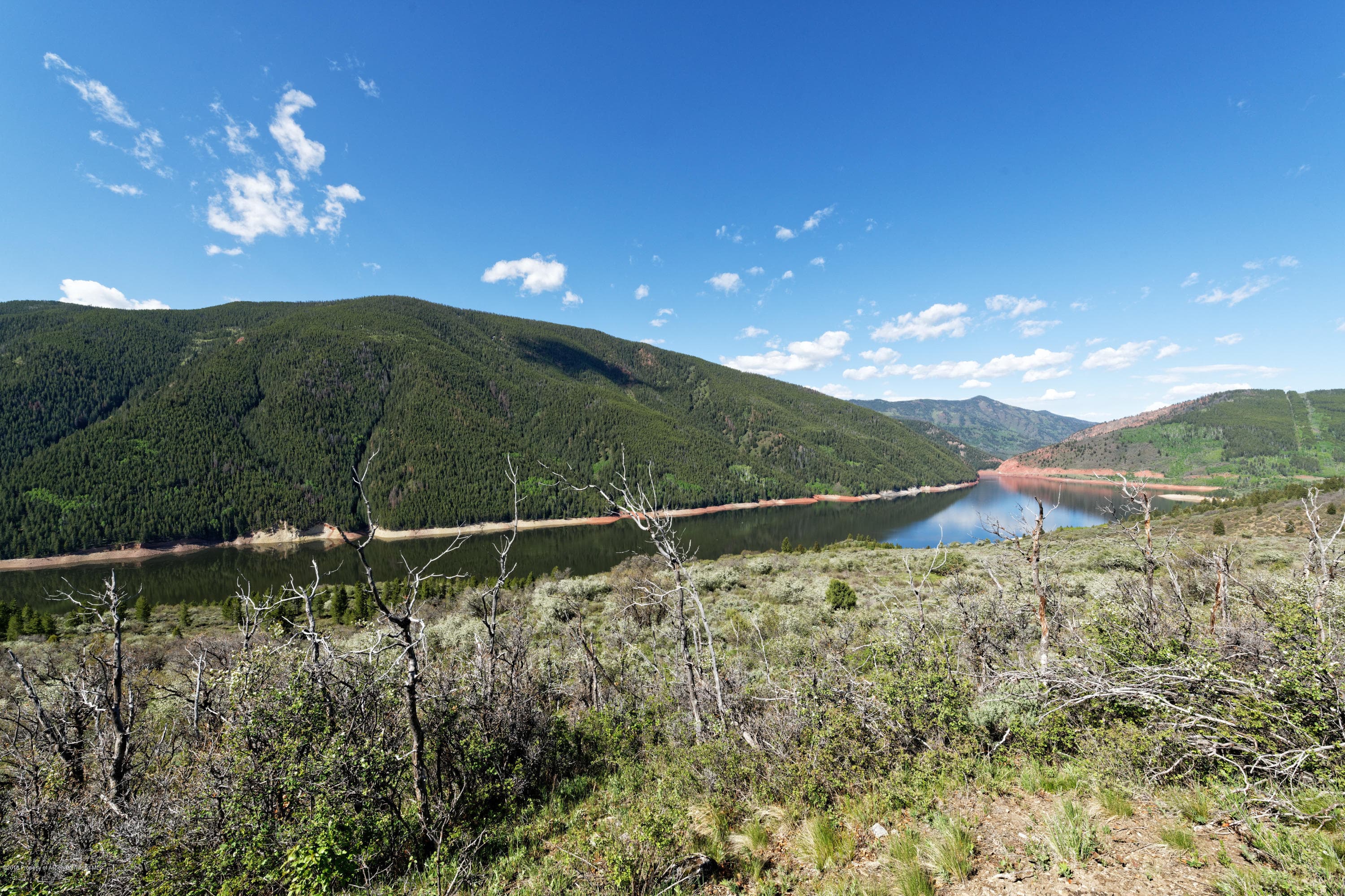 TBD Frying Pan Road, Basalt, CO 81621 - Photo 29