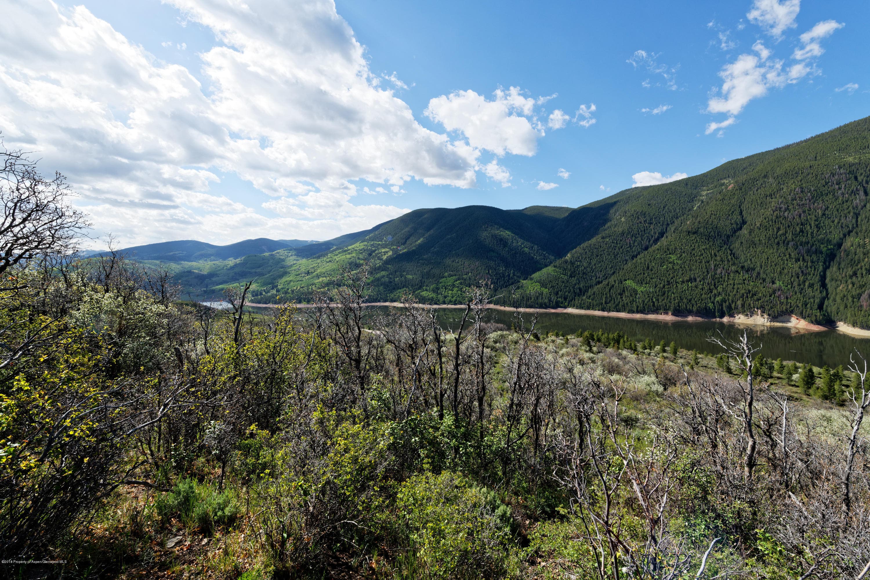 TBD Frying Pan Road, Basalt, CO 81621 - Photo 30