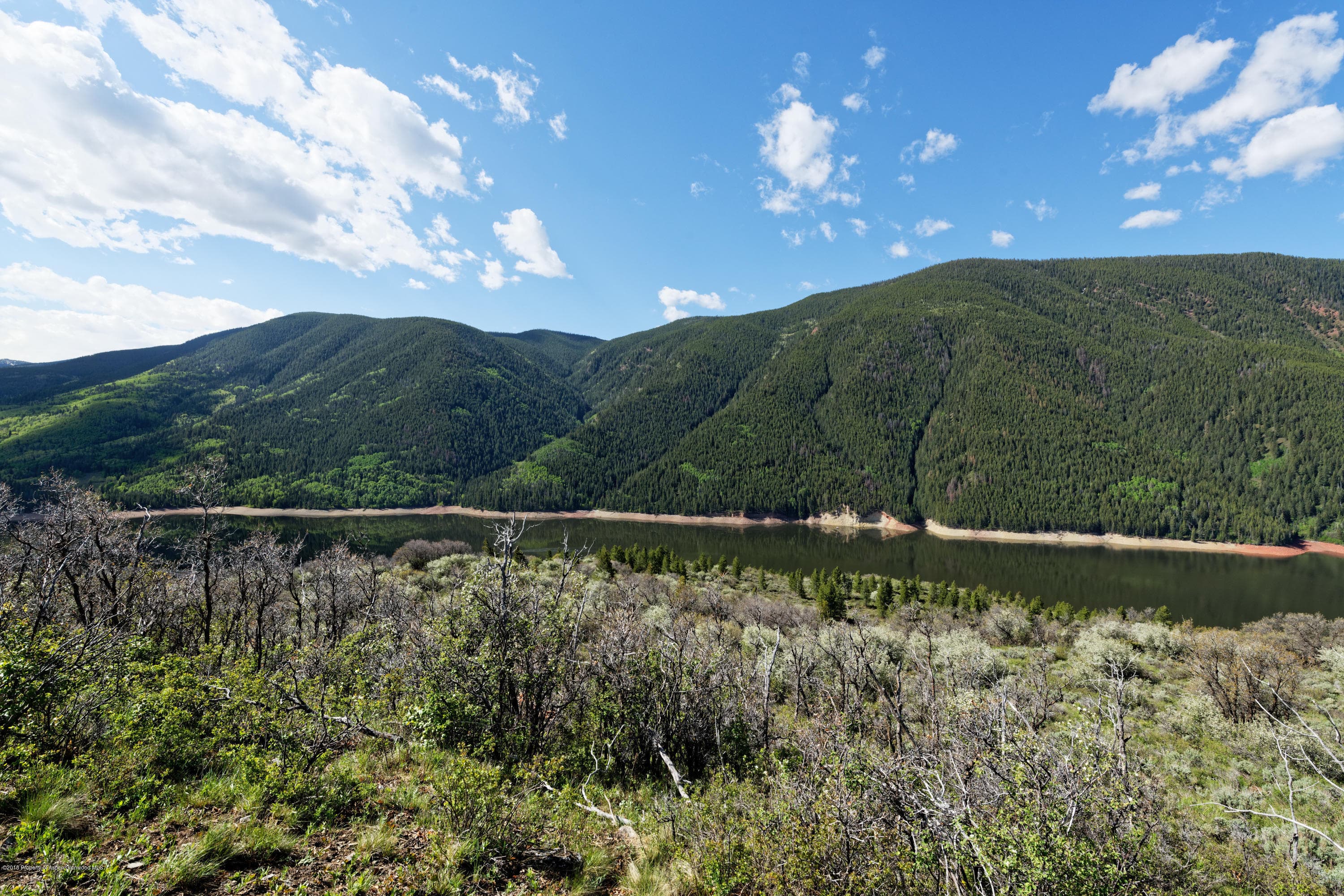 TBD Frying Pan Road, Basalt, CO 81621 - Photo 10