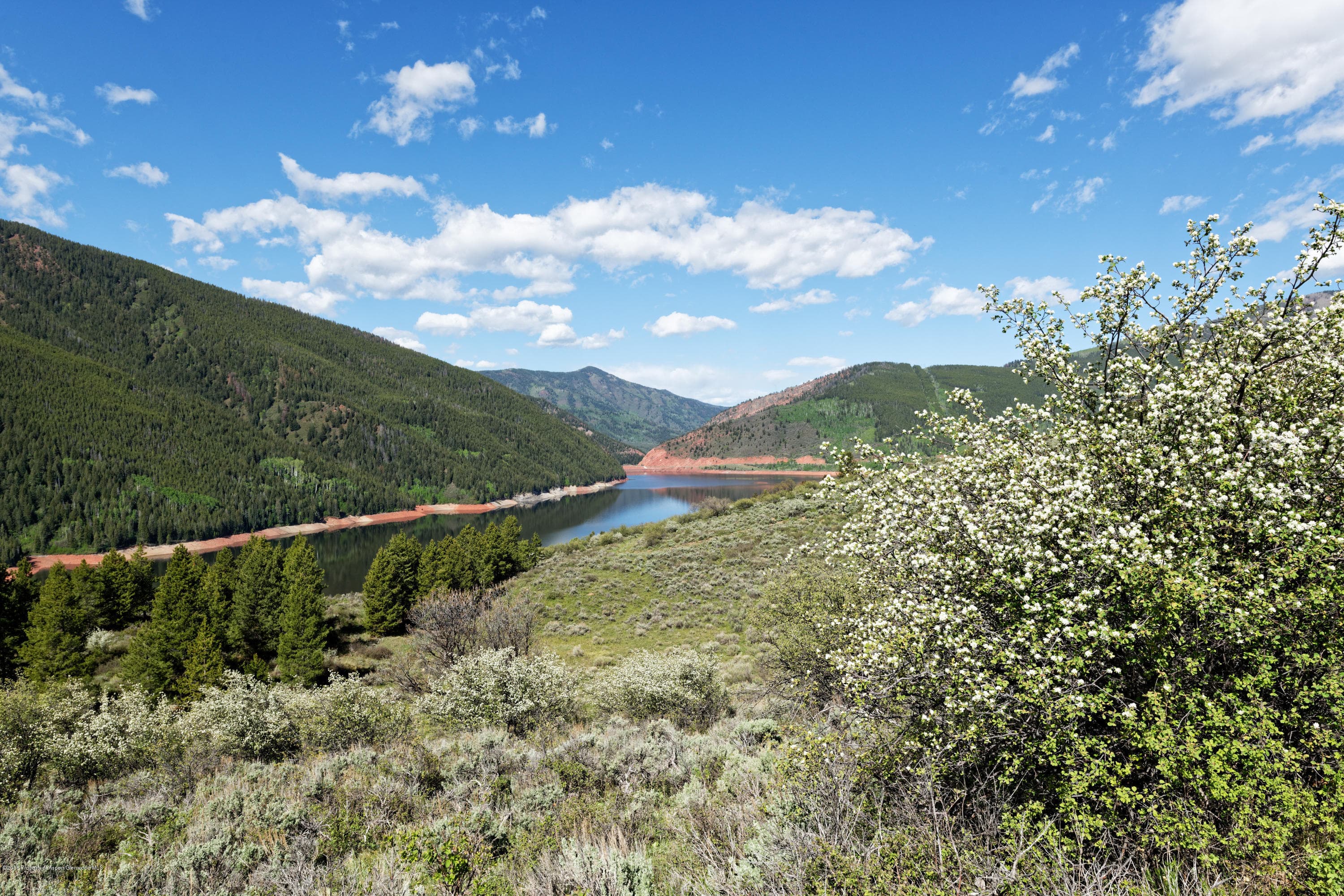 TBD Frying Pan Road, Basalt, CO 81621 - Photo 6