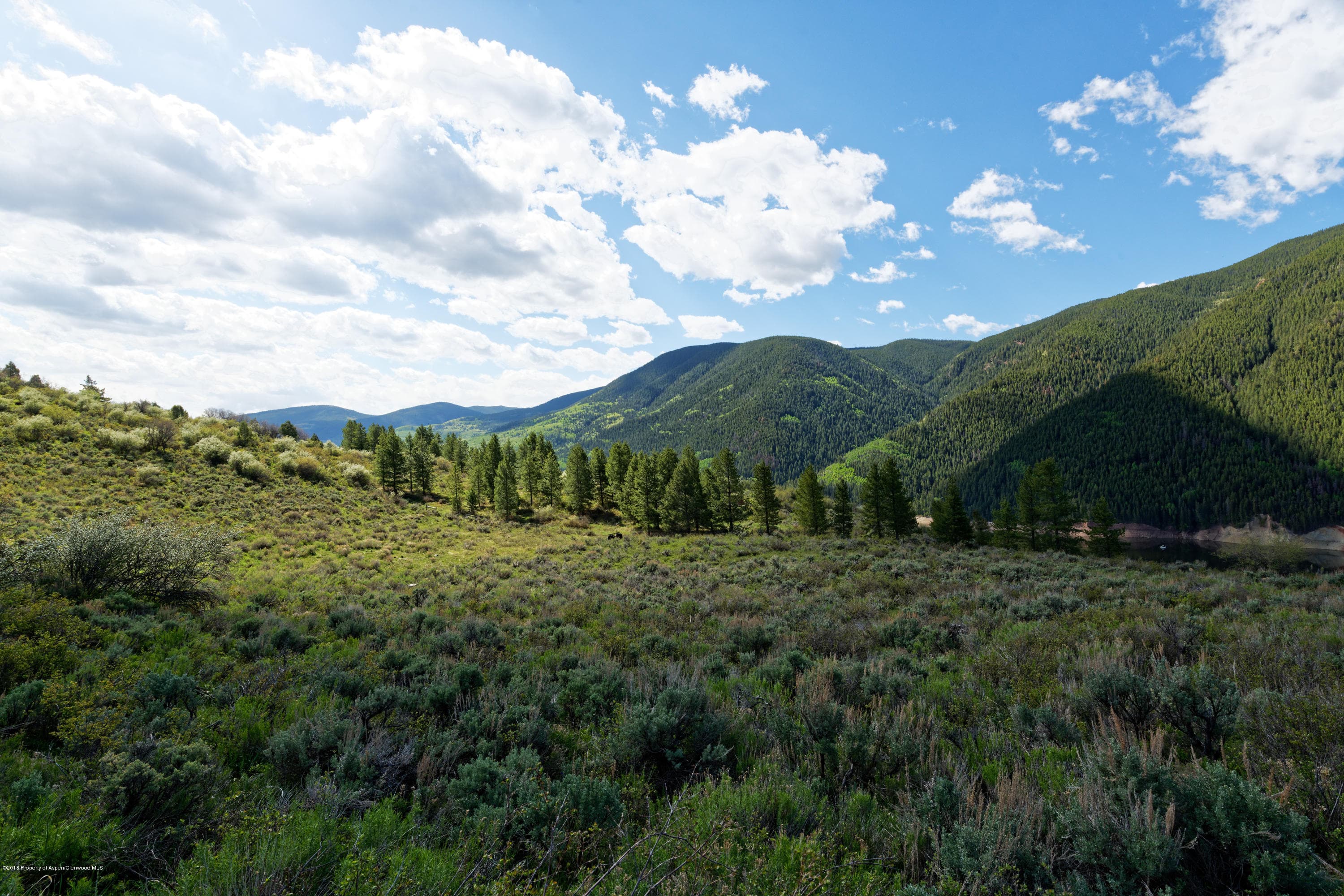 TBD Frying Pan Road, Basalt, CO 81621 - Photo 11
