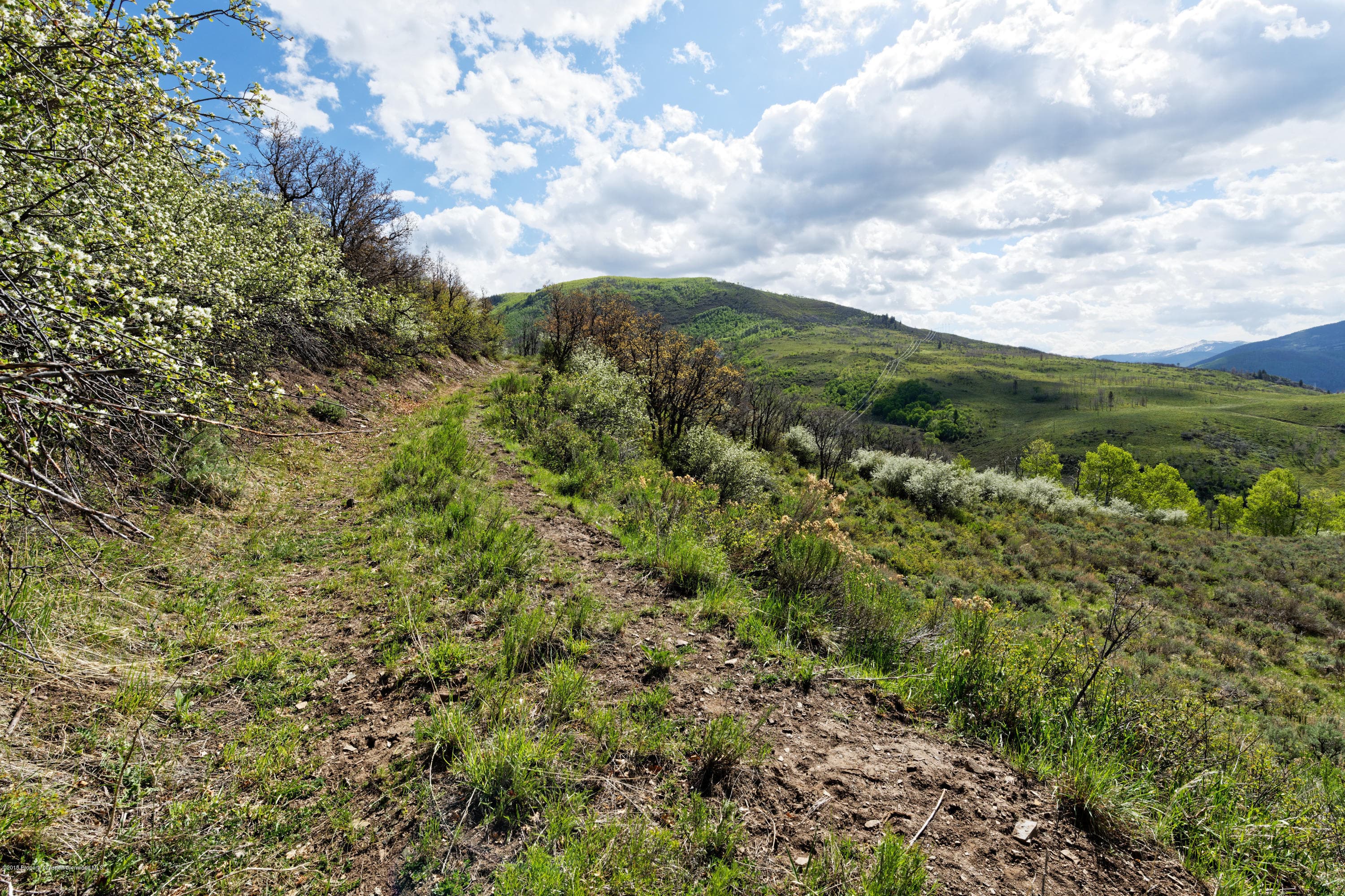 TBD Frying Pan Road, Basalt, CO 81621 - Photo 14