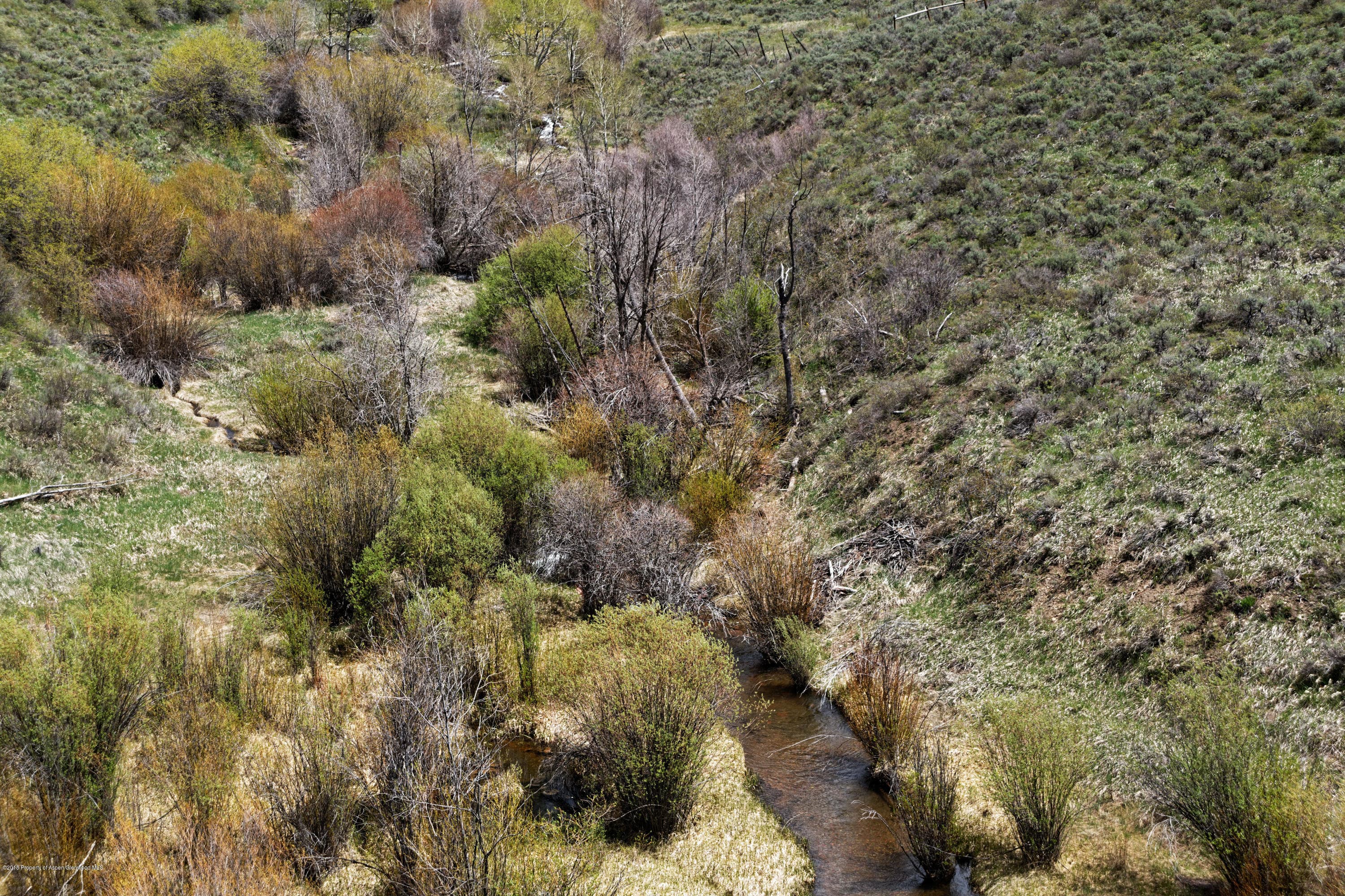 TBD Frying Pan Road, Basalt, CO 81621 - Photo 41