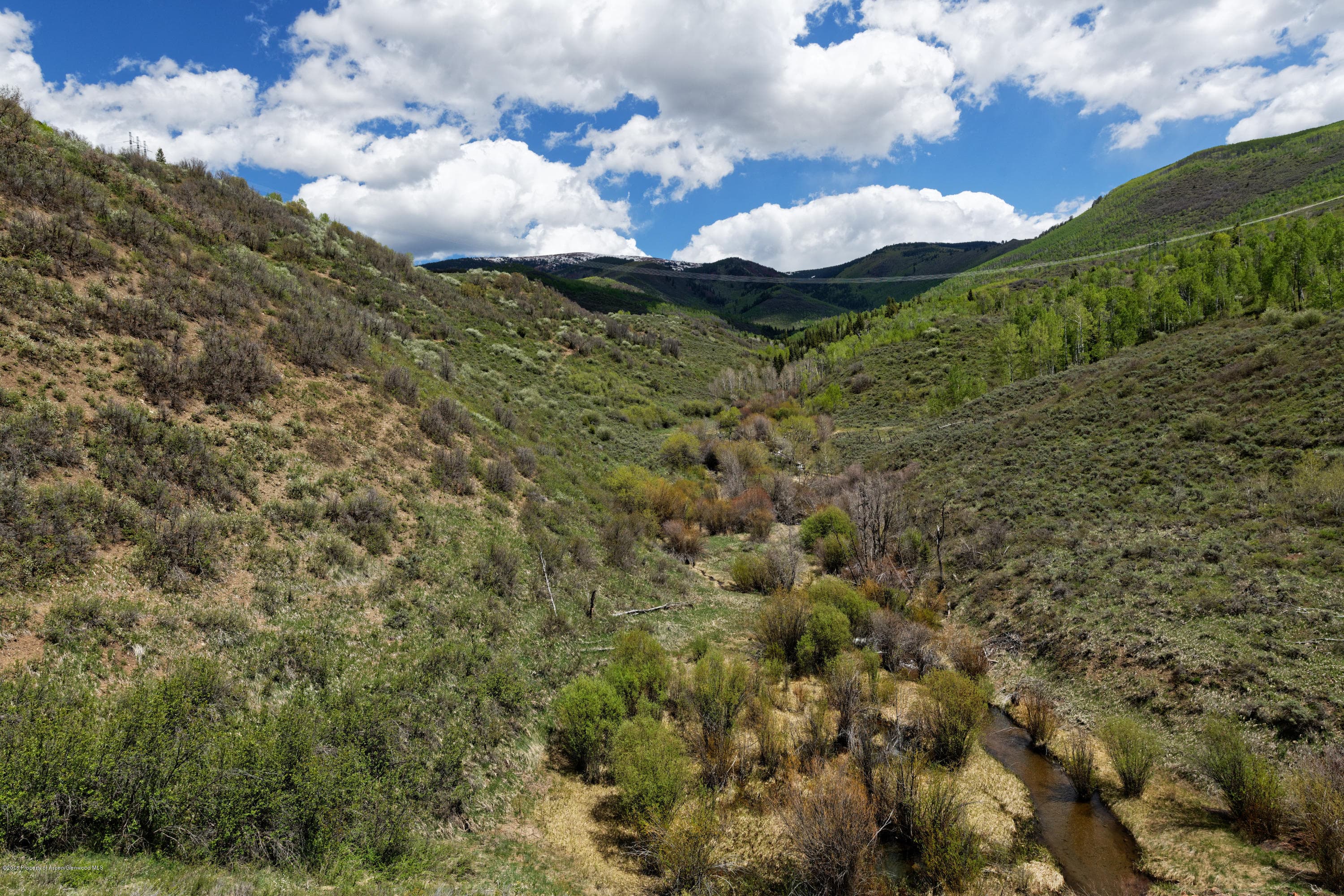 TBD Frying Pan Road, Basalt, CO 81621 - Photo 20