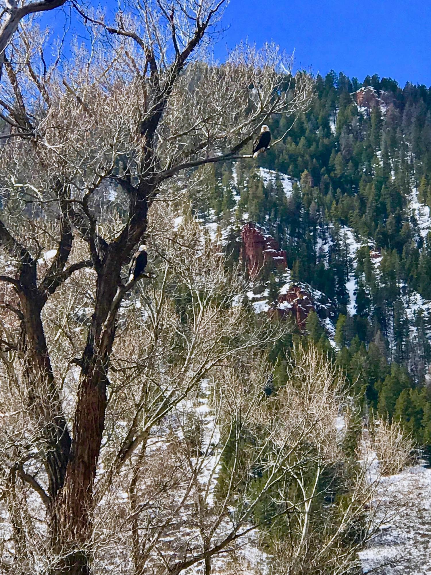 TBD Frying Pan Road, Basalt, CO 81621 - Photo 24