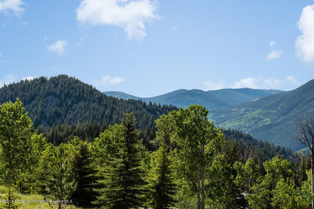 133 Hawk Lane, Basalt, CO 81621 - Photo 5