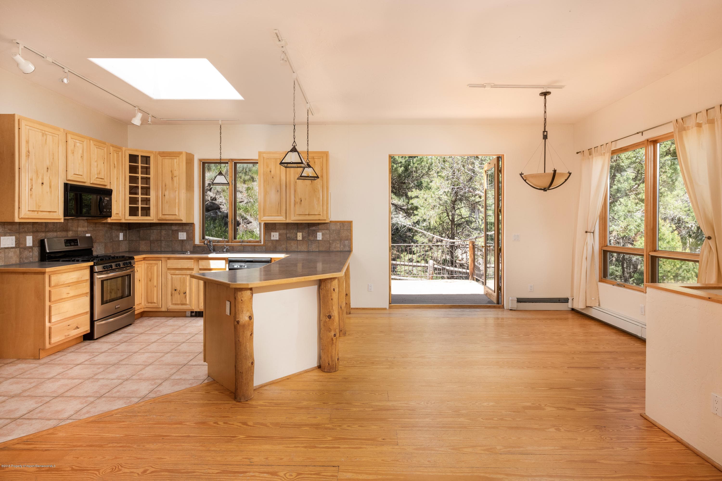 232 Caballo, Carbondale, CO 81623 - Photo 8