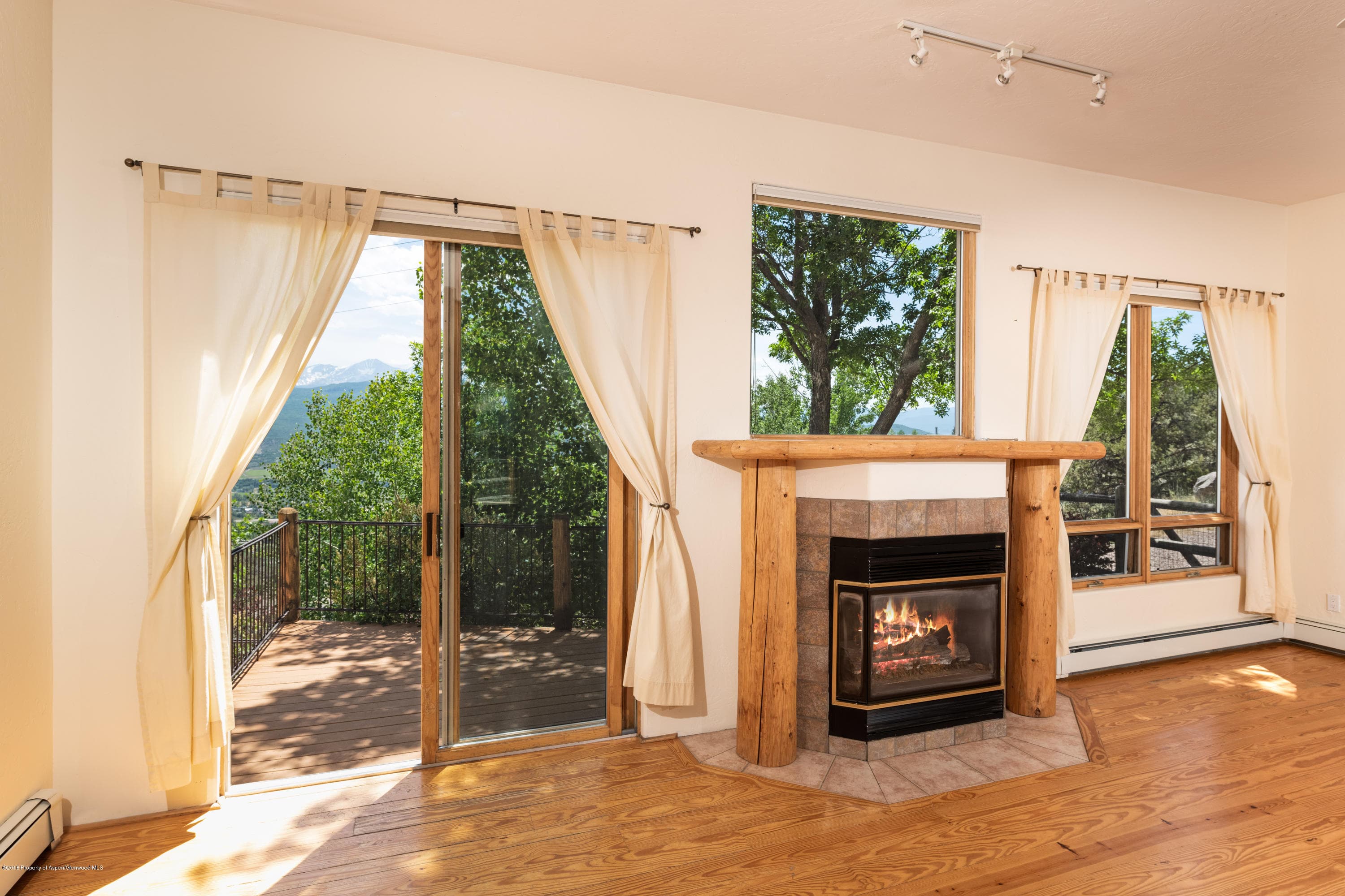 232 Caballo, Carbondale, CO 81623 - Photo 6